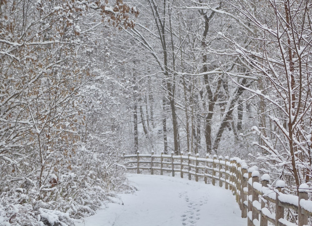 a snowy path in a wooded area with a wooden fence