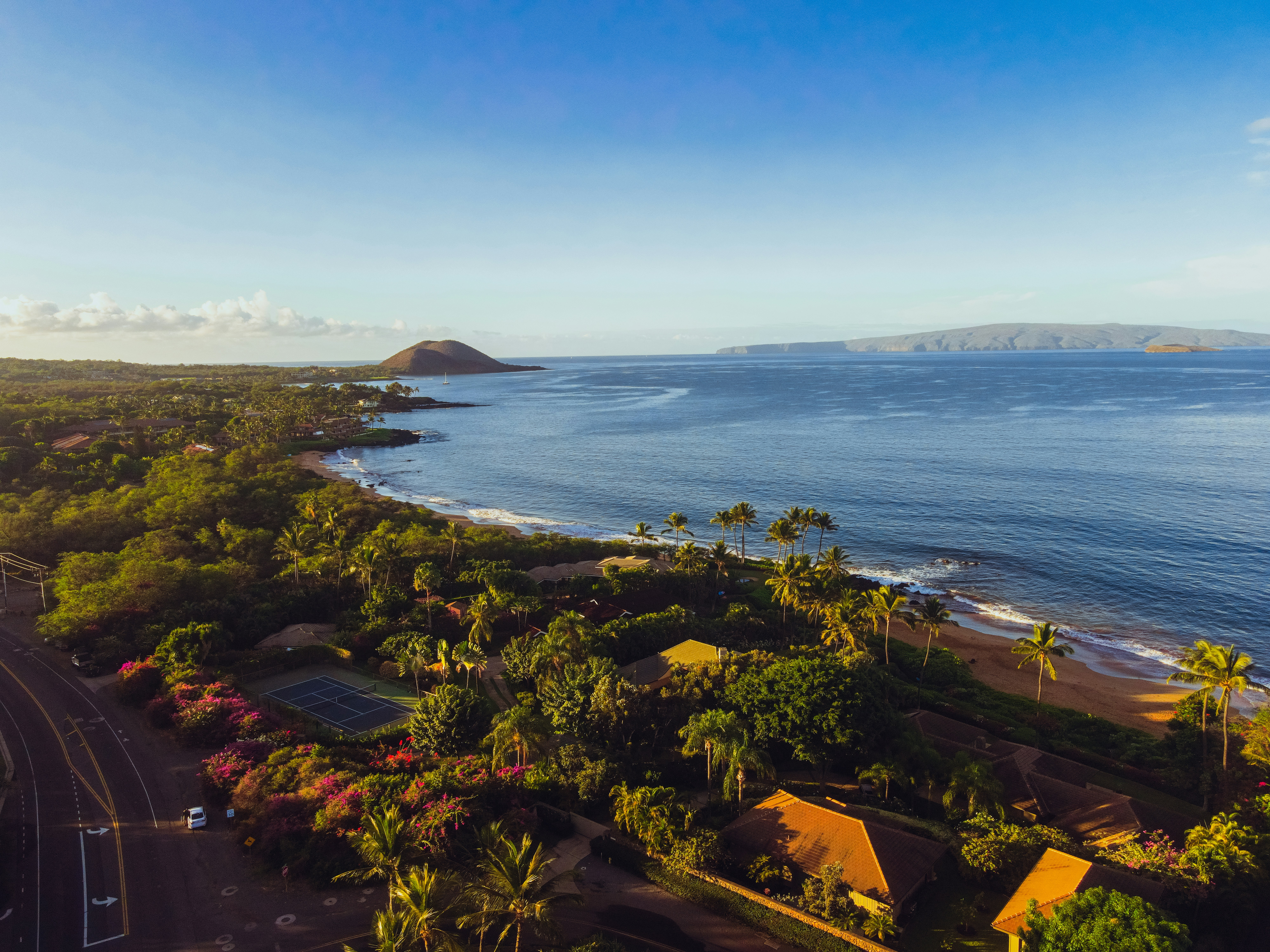 an aerial view of a beach with a lot of trees