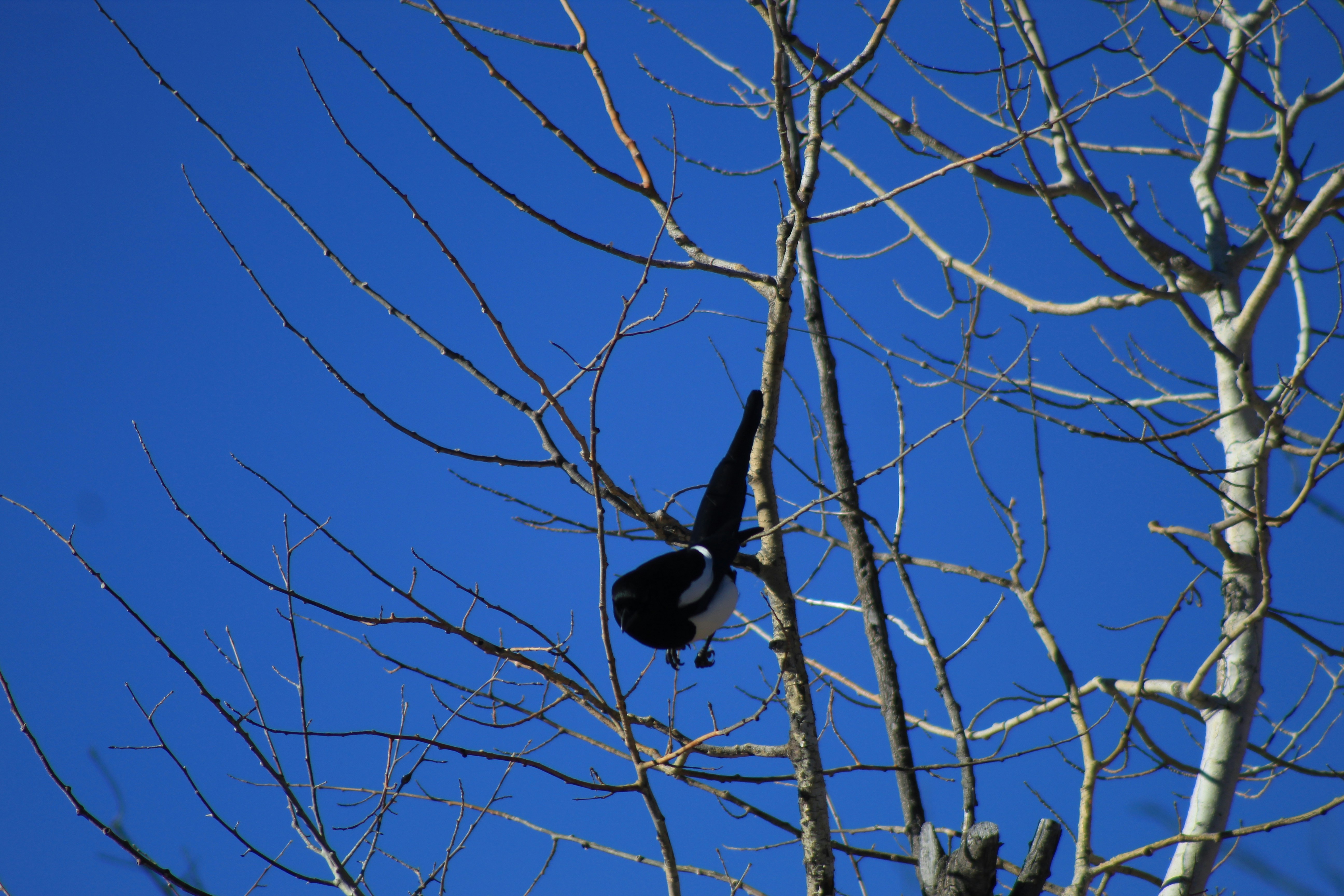 Photo by djburkephotography