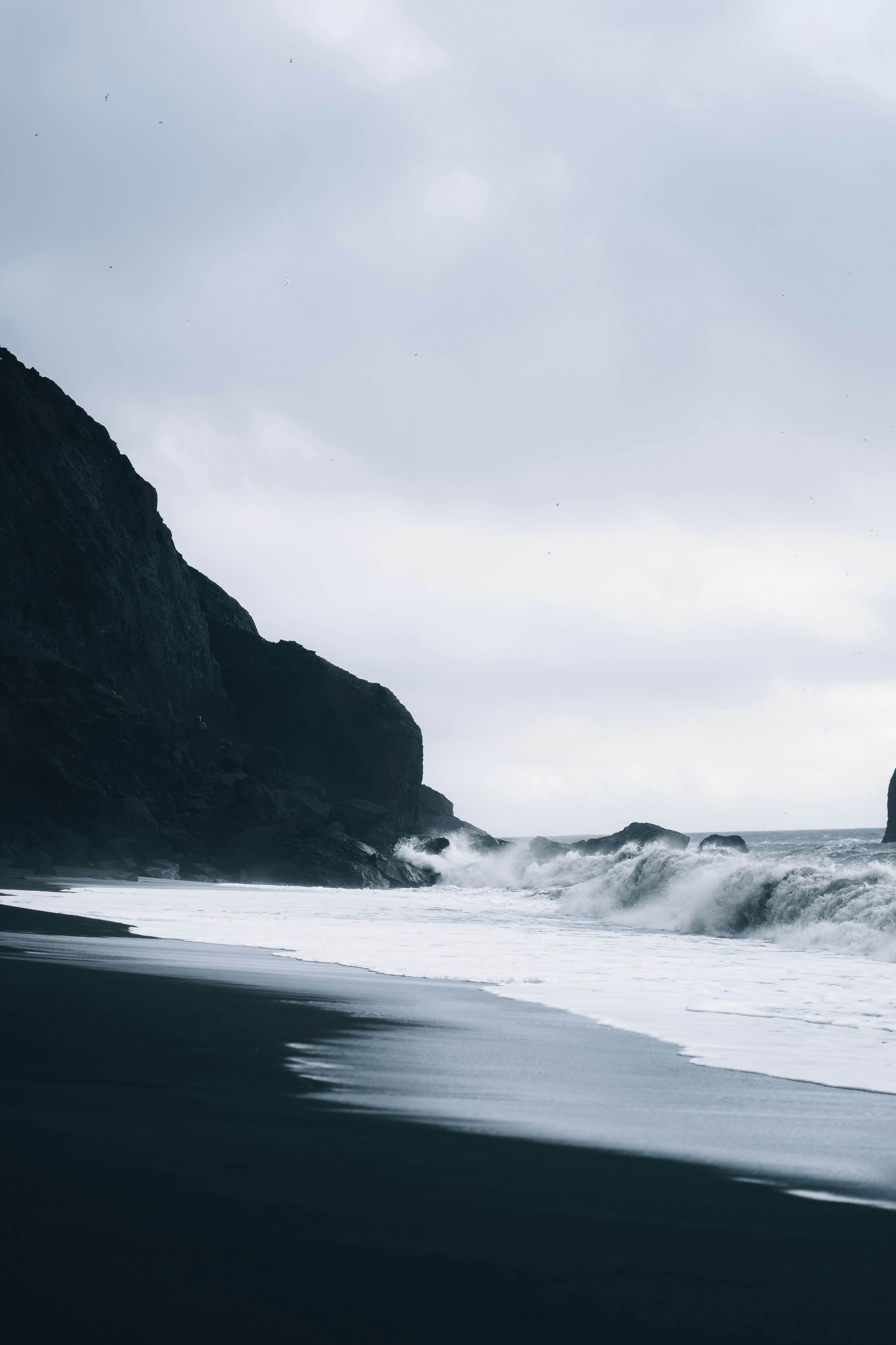 Photo by real_jansen