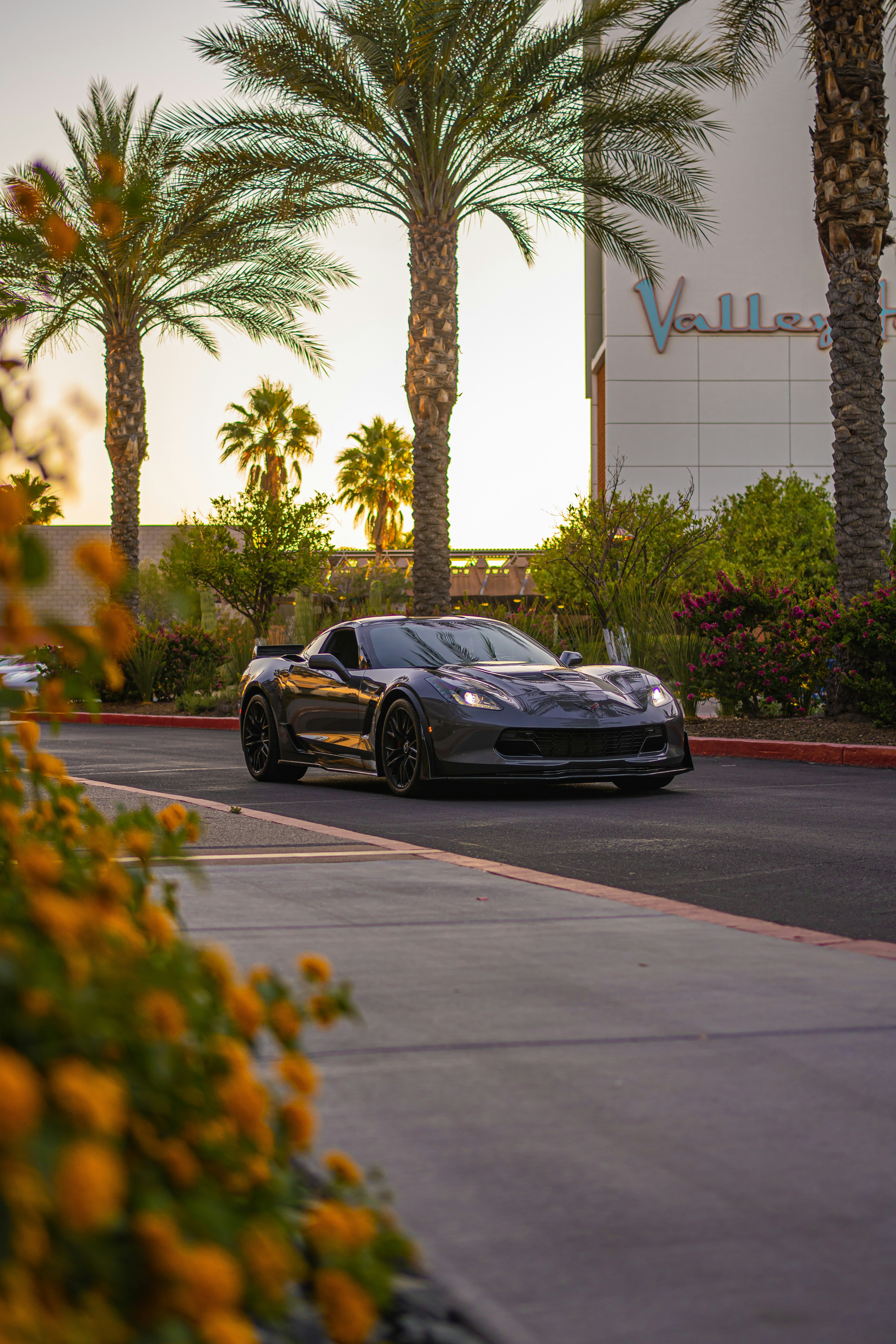 a silver sports car driving down a street next to palm trees