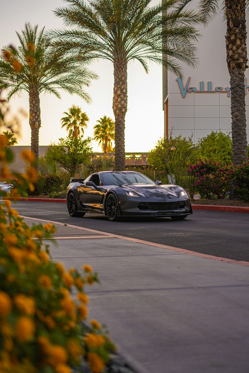 a silver sports car driving down a street next to palm trees