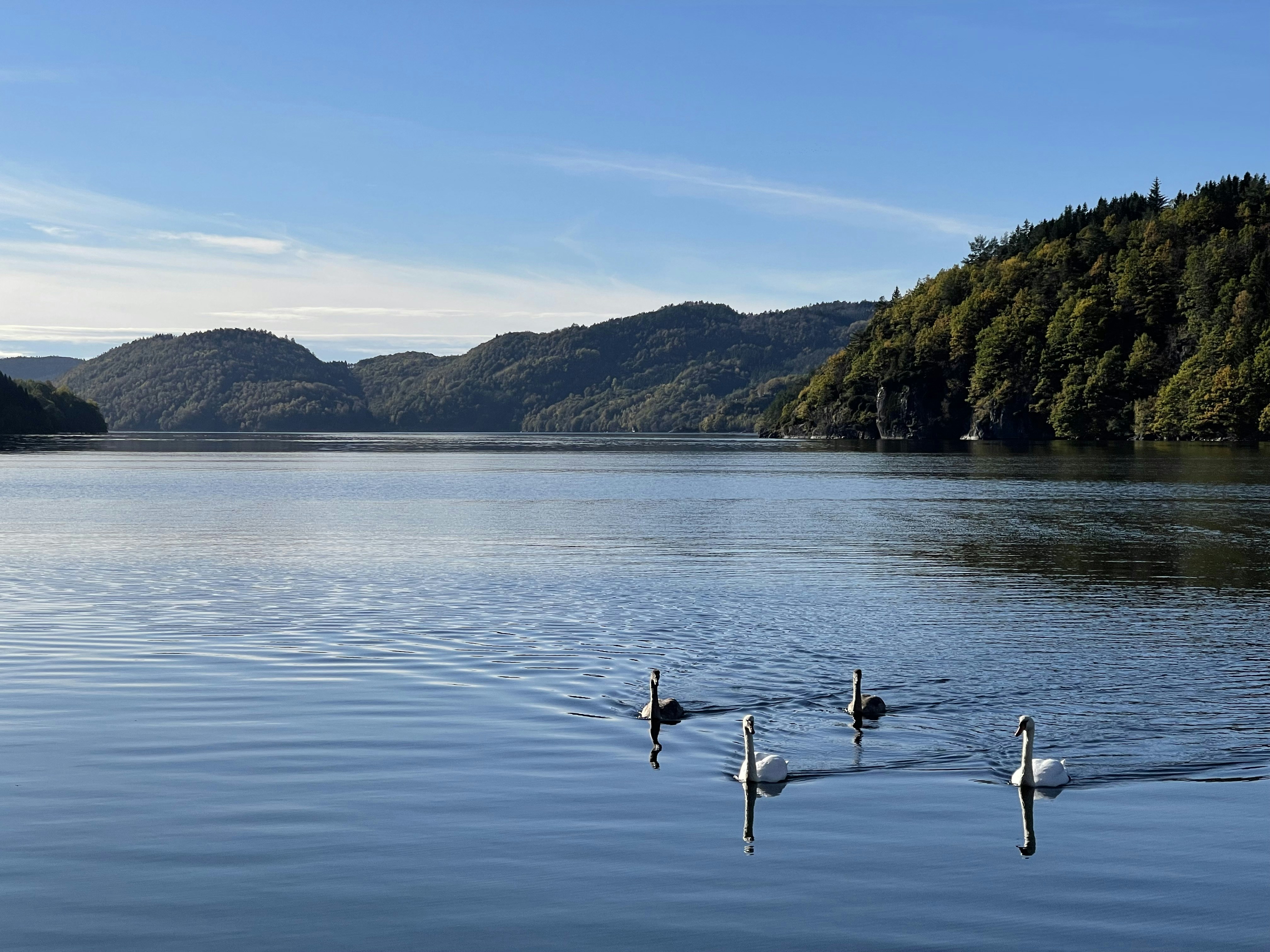 Photo by cristian_s77