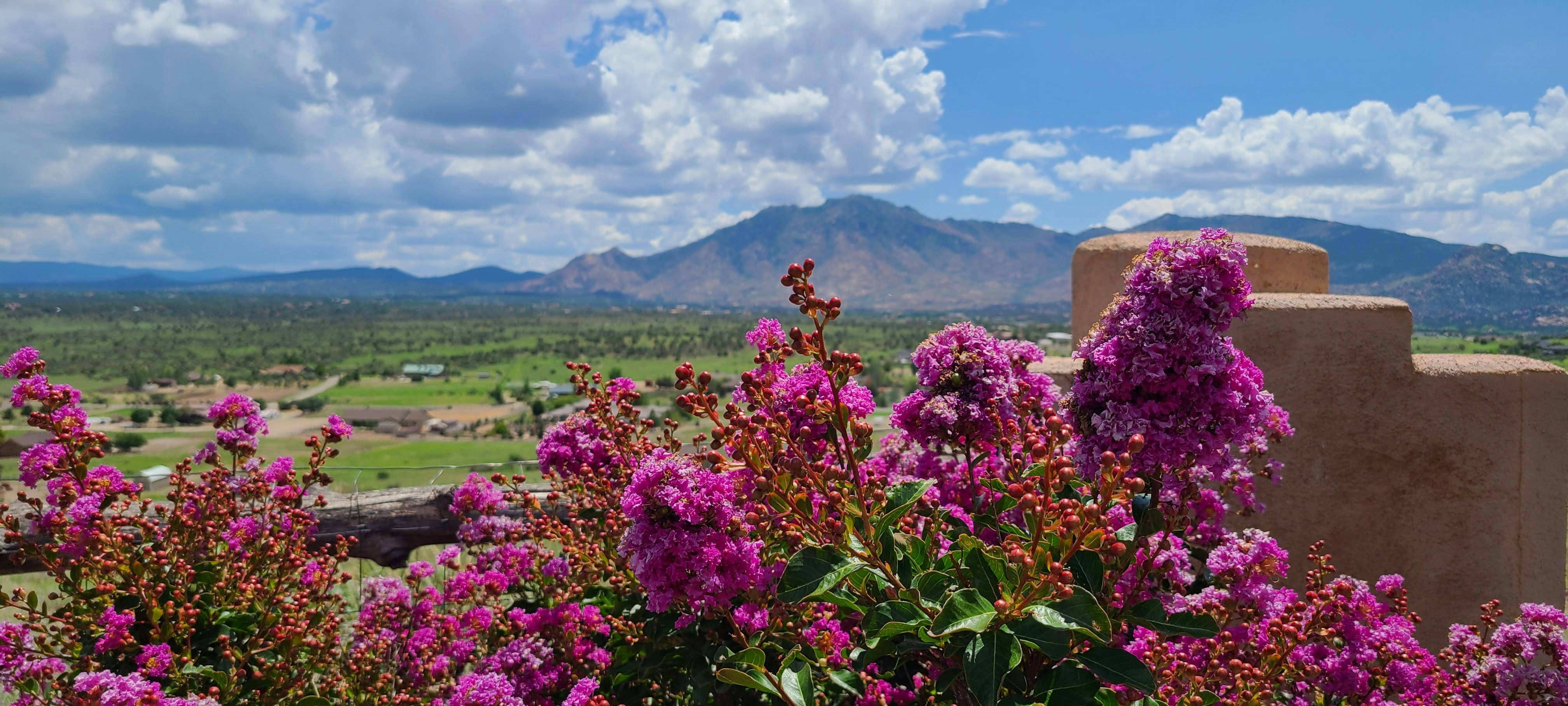 Free Williamson valley prescott az Image on Unsplash