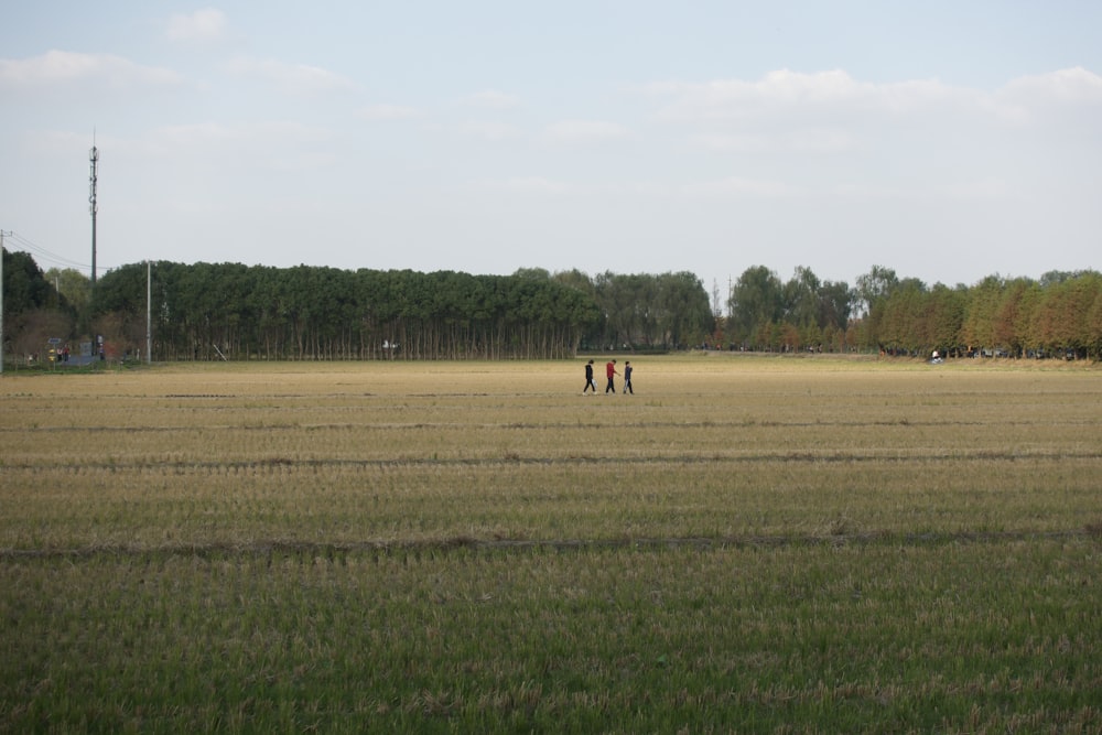 three people walking in a field with trees in the background