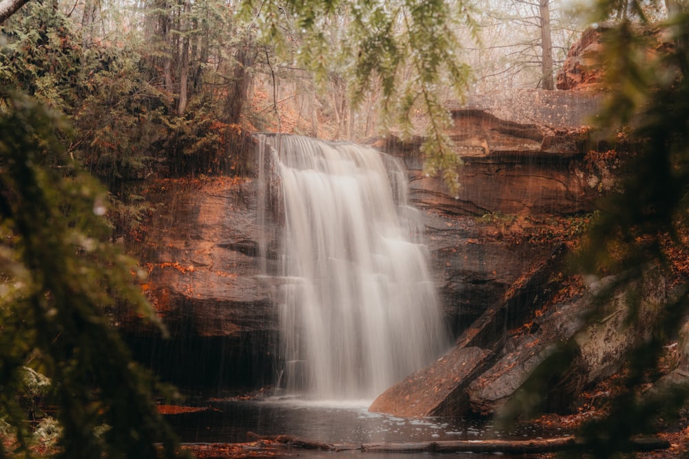 a waterfall in the middle of a forest