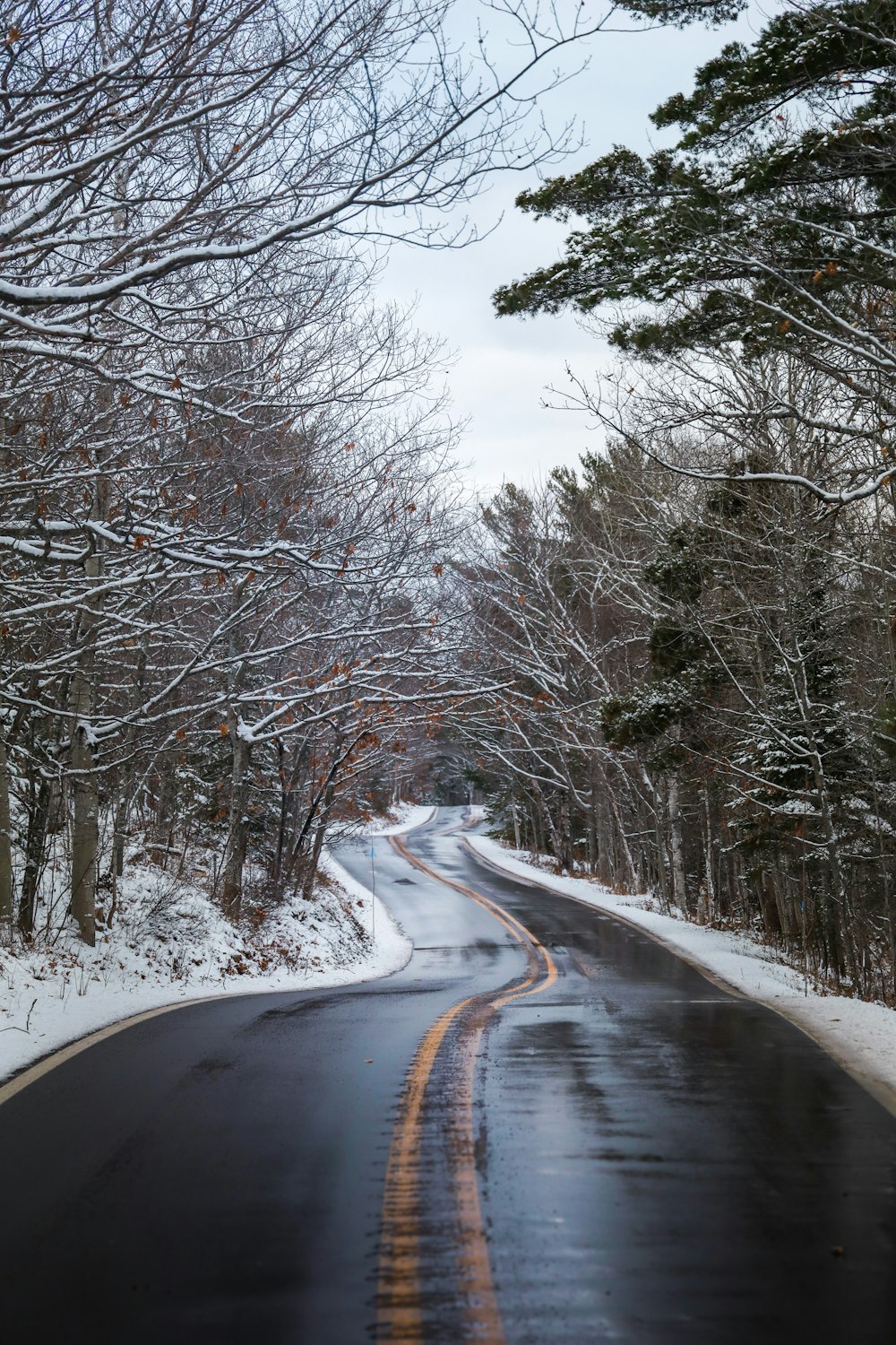 a road in the middle of a snowy forest