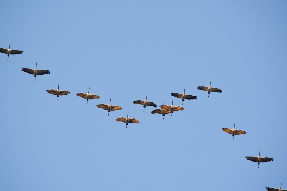 a group of planes flying in formation in the sky