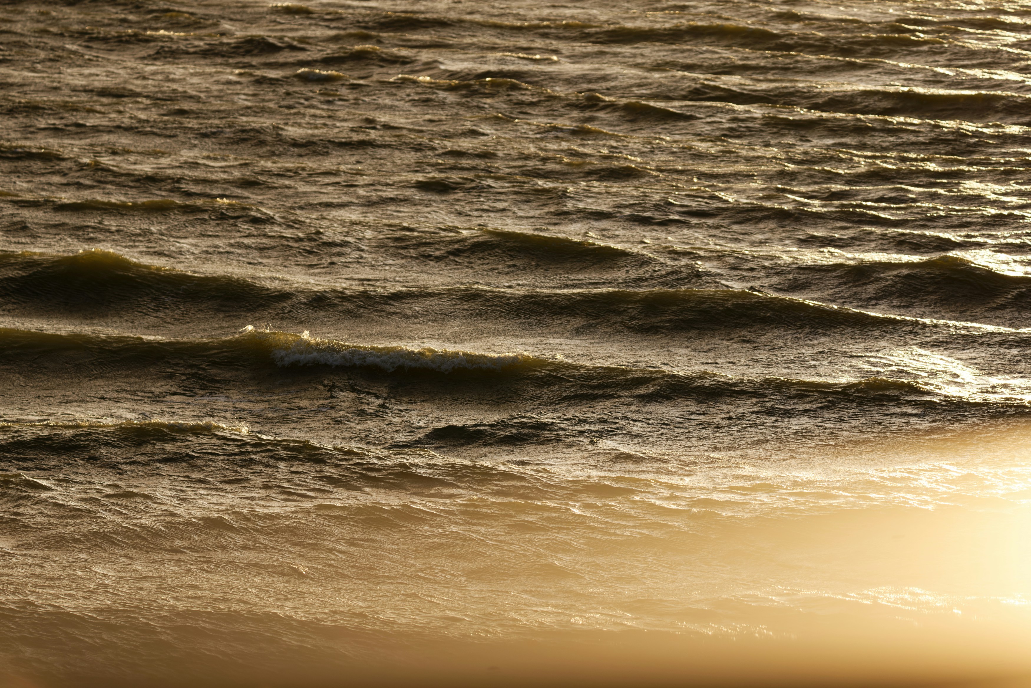 Photo by designbytholen