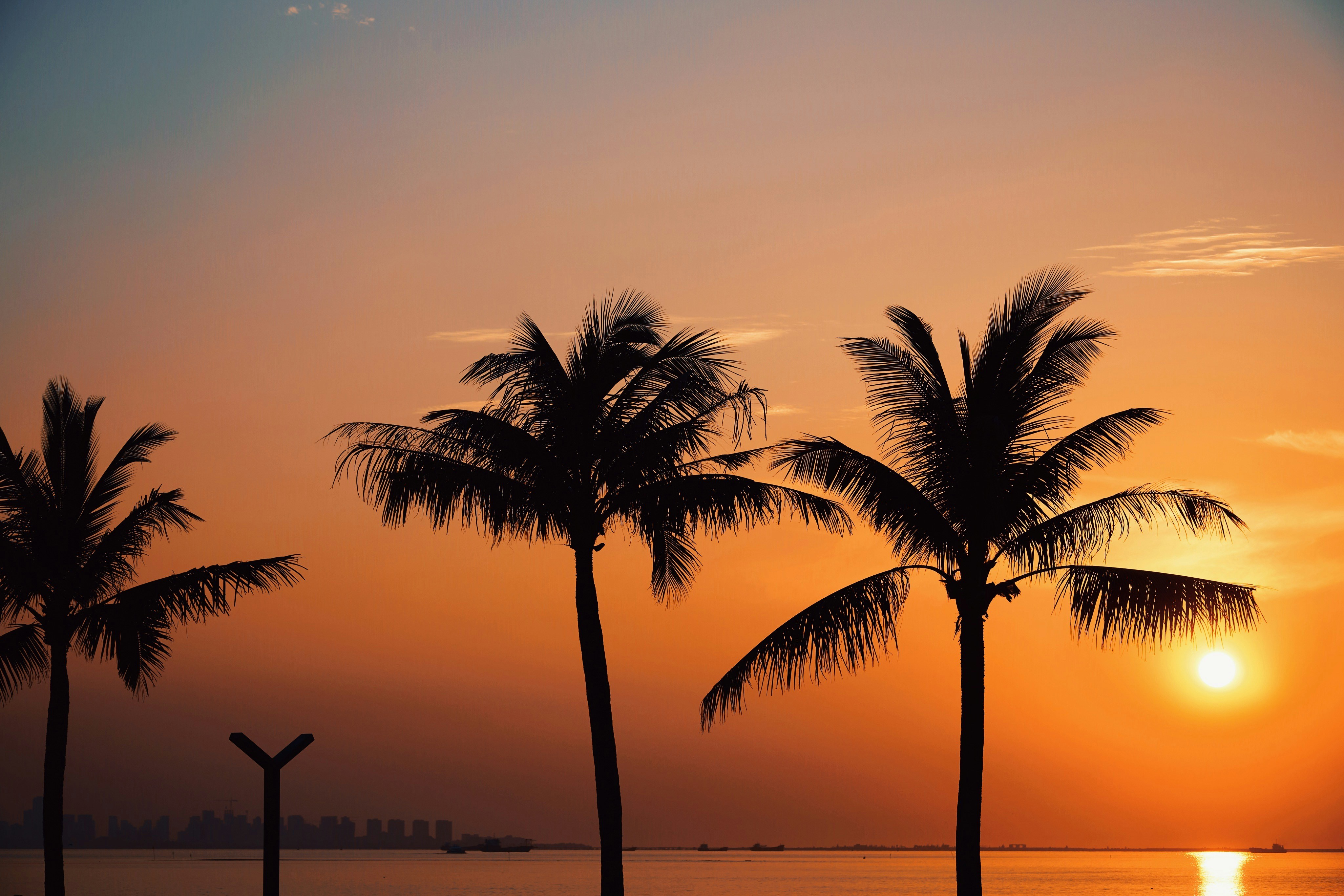 Photo by zhengyaosheng