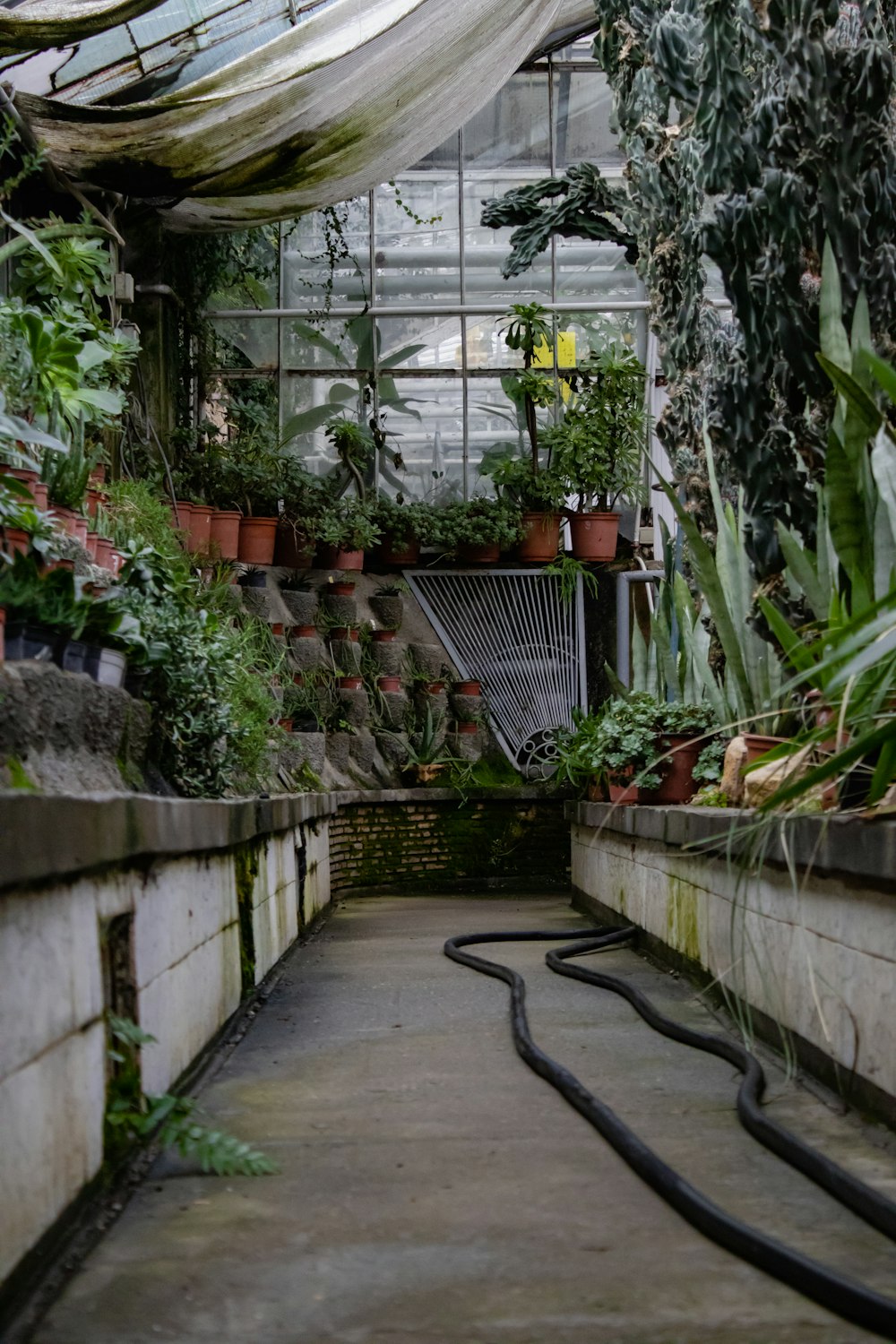 a room with a lot of plants inside of it