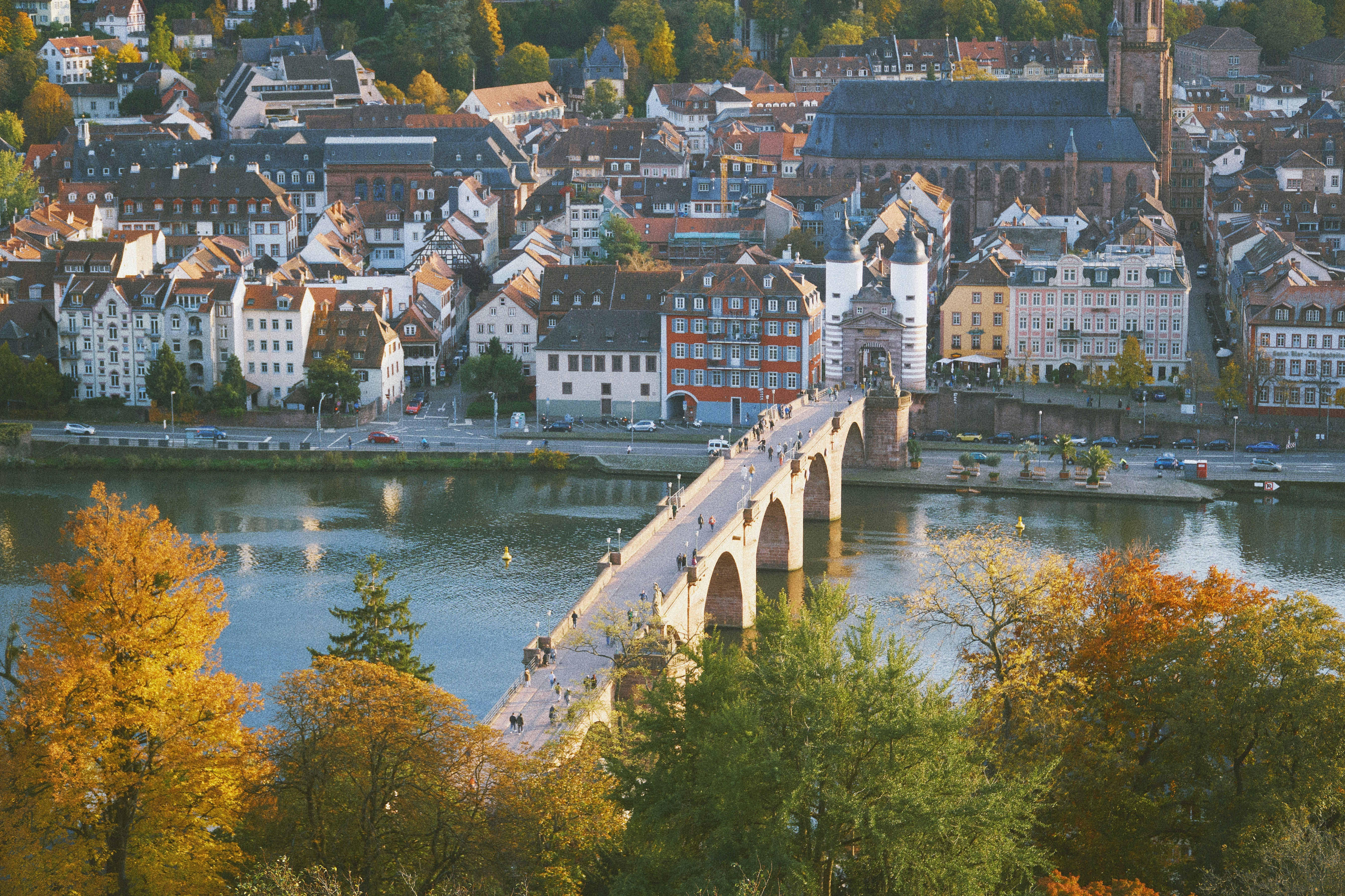 Photo by zhengyaosheng