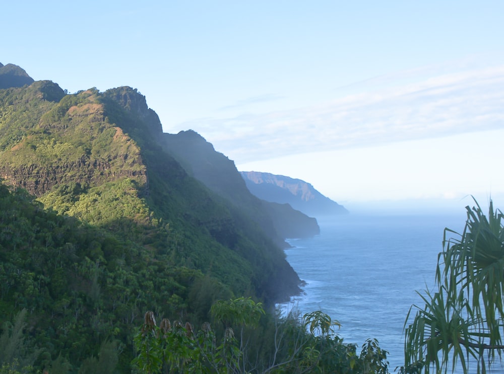 a lush green hillside next to a body of water