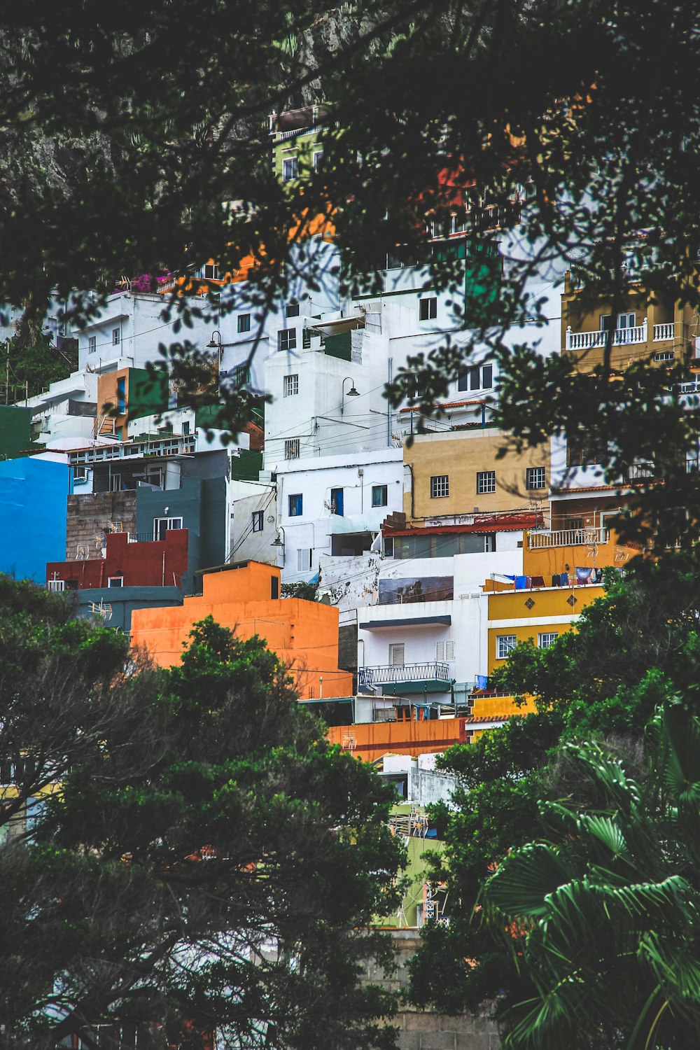 a view of a bunch of houses from behind some trees