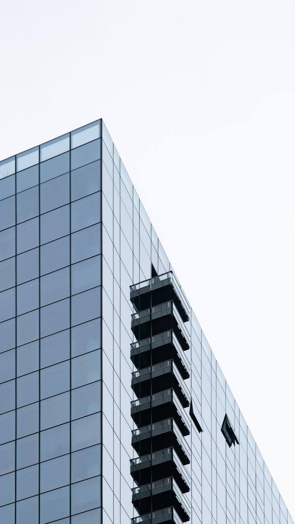 a very tall building with a bird flying over it