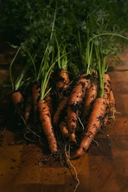 Freshly harvested organic carrots ready for sale.