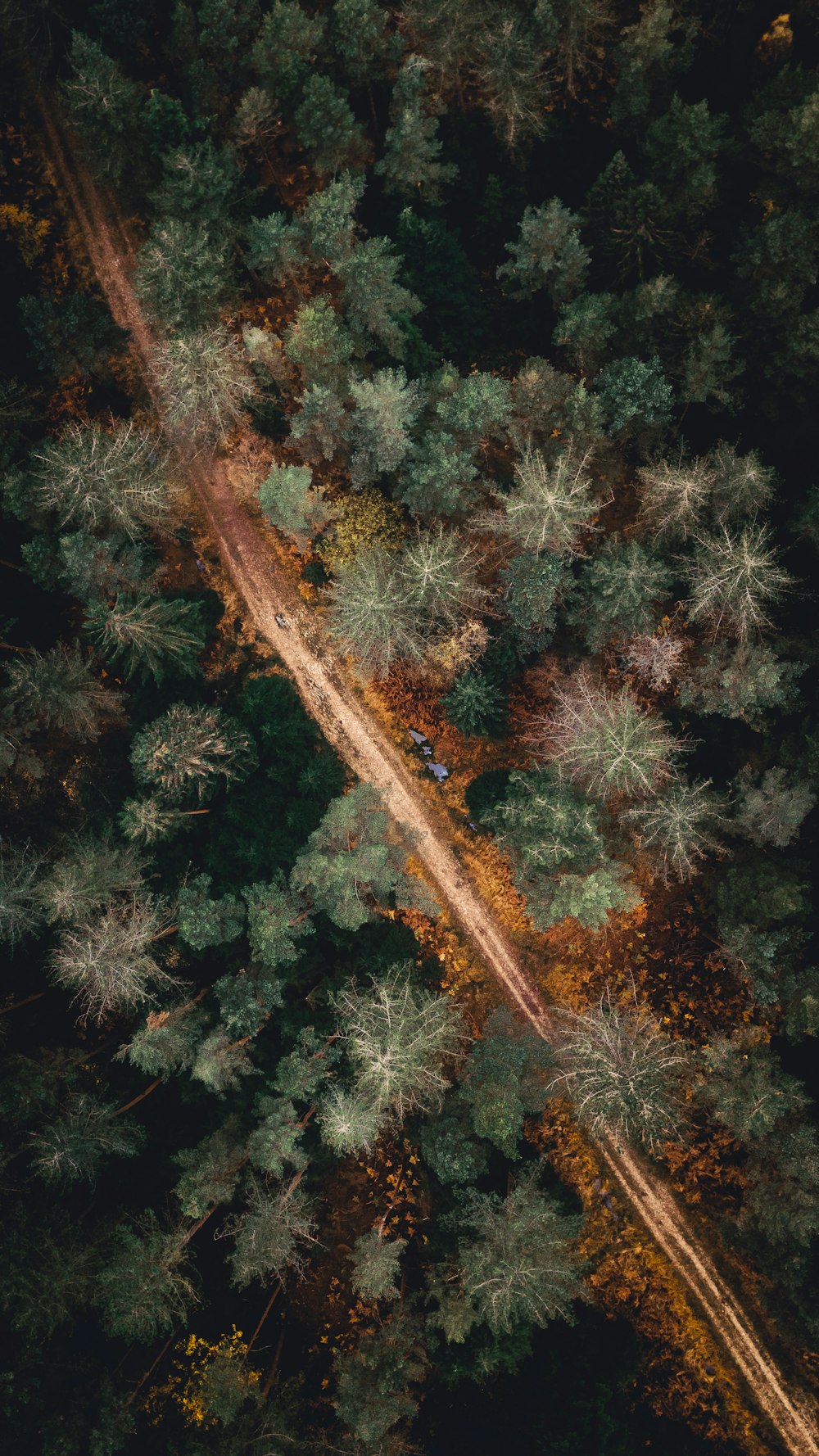 an aerial view of a road in the middle of a forest