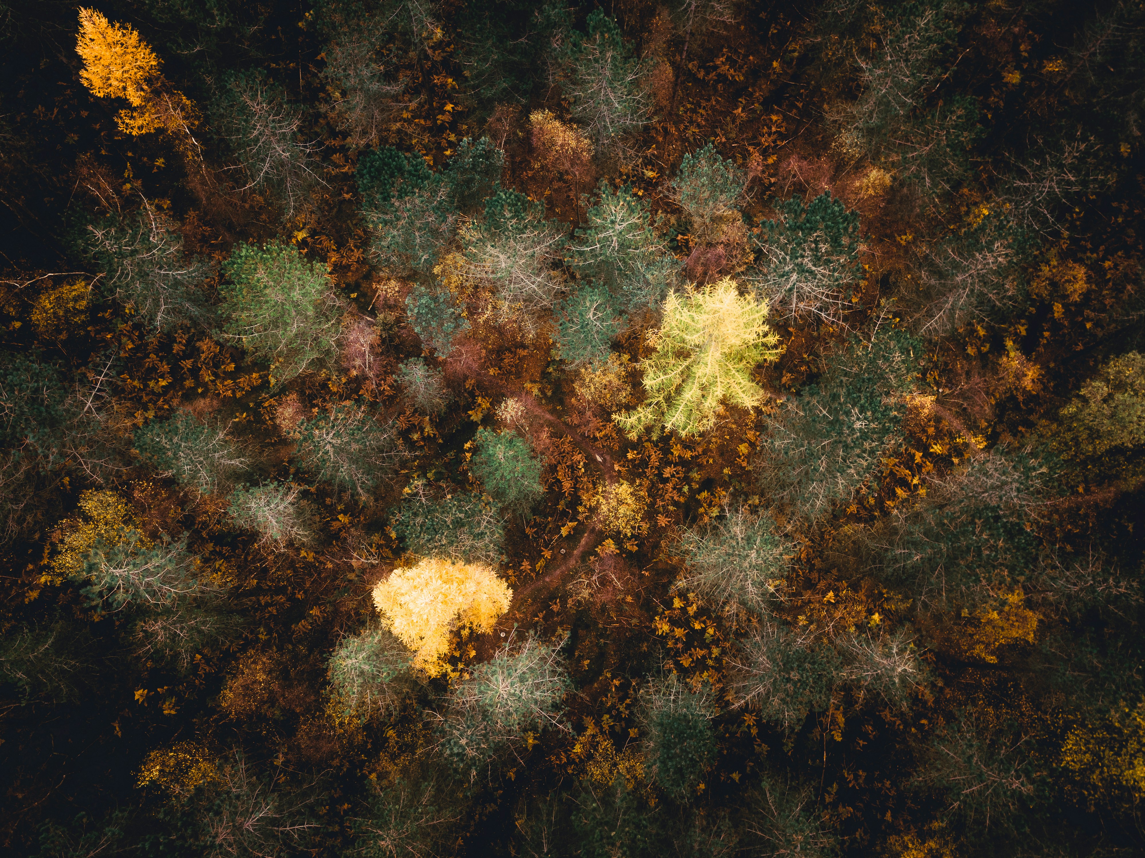 Photo by unstable_affliction