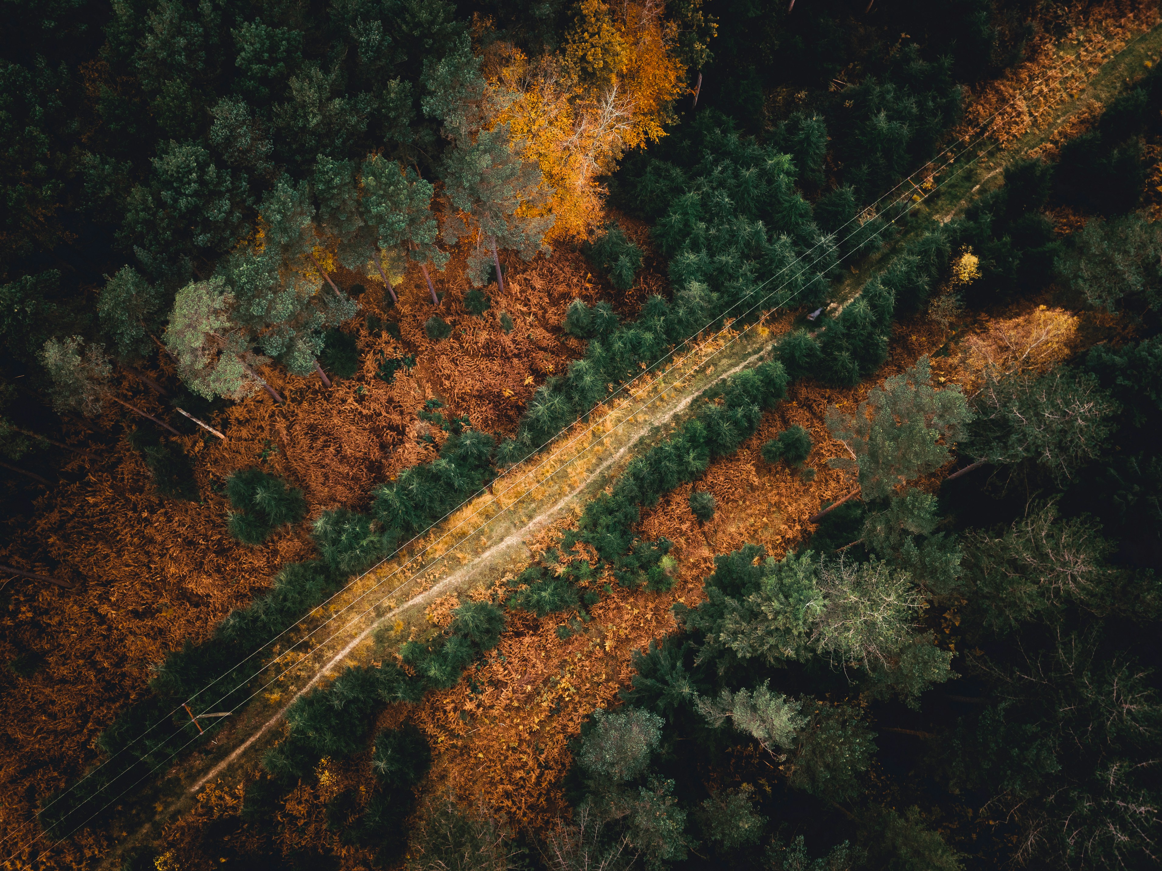 Photo by unstable_affliction