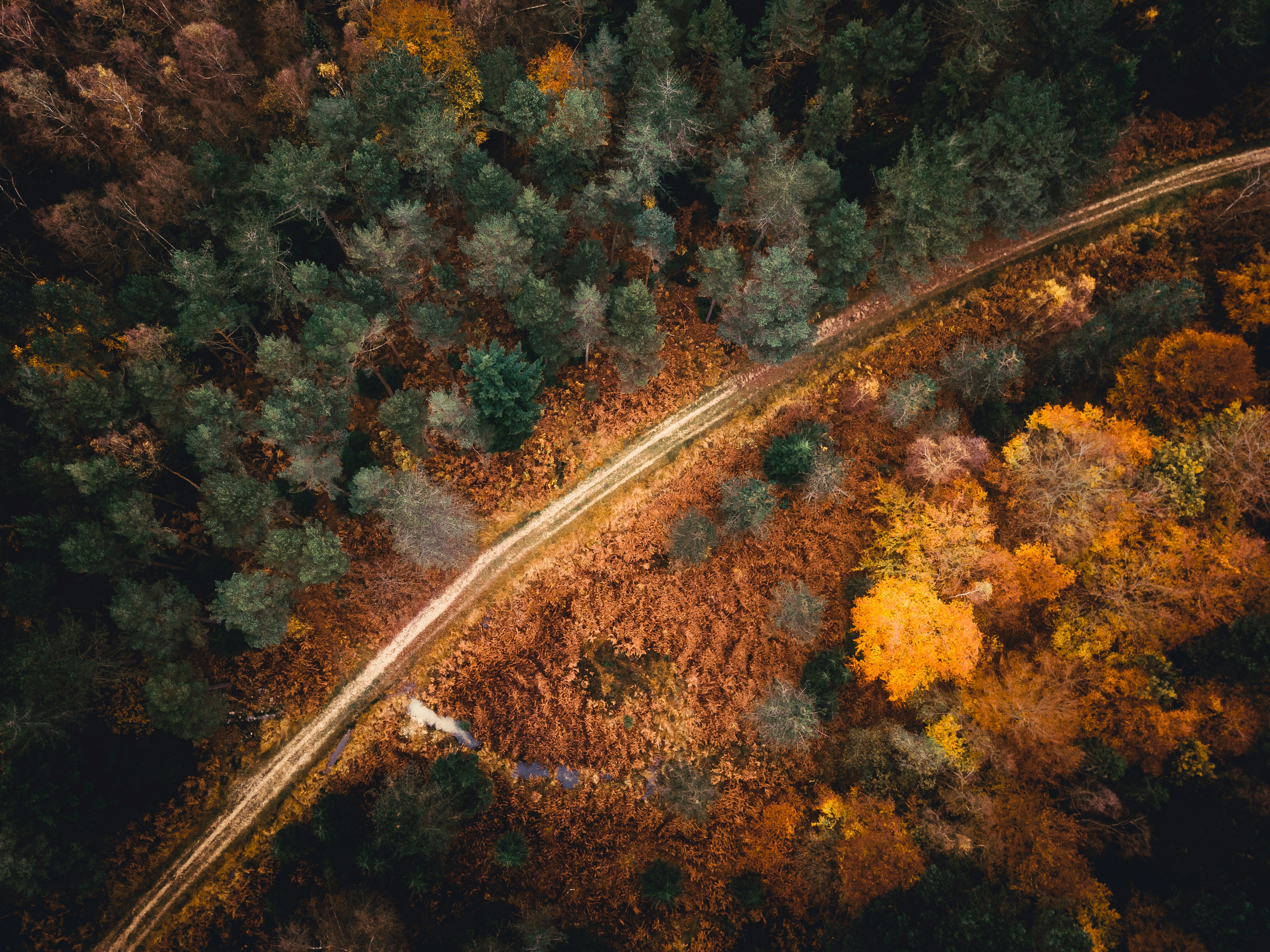 an aerial view of a road surrounded by trees