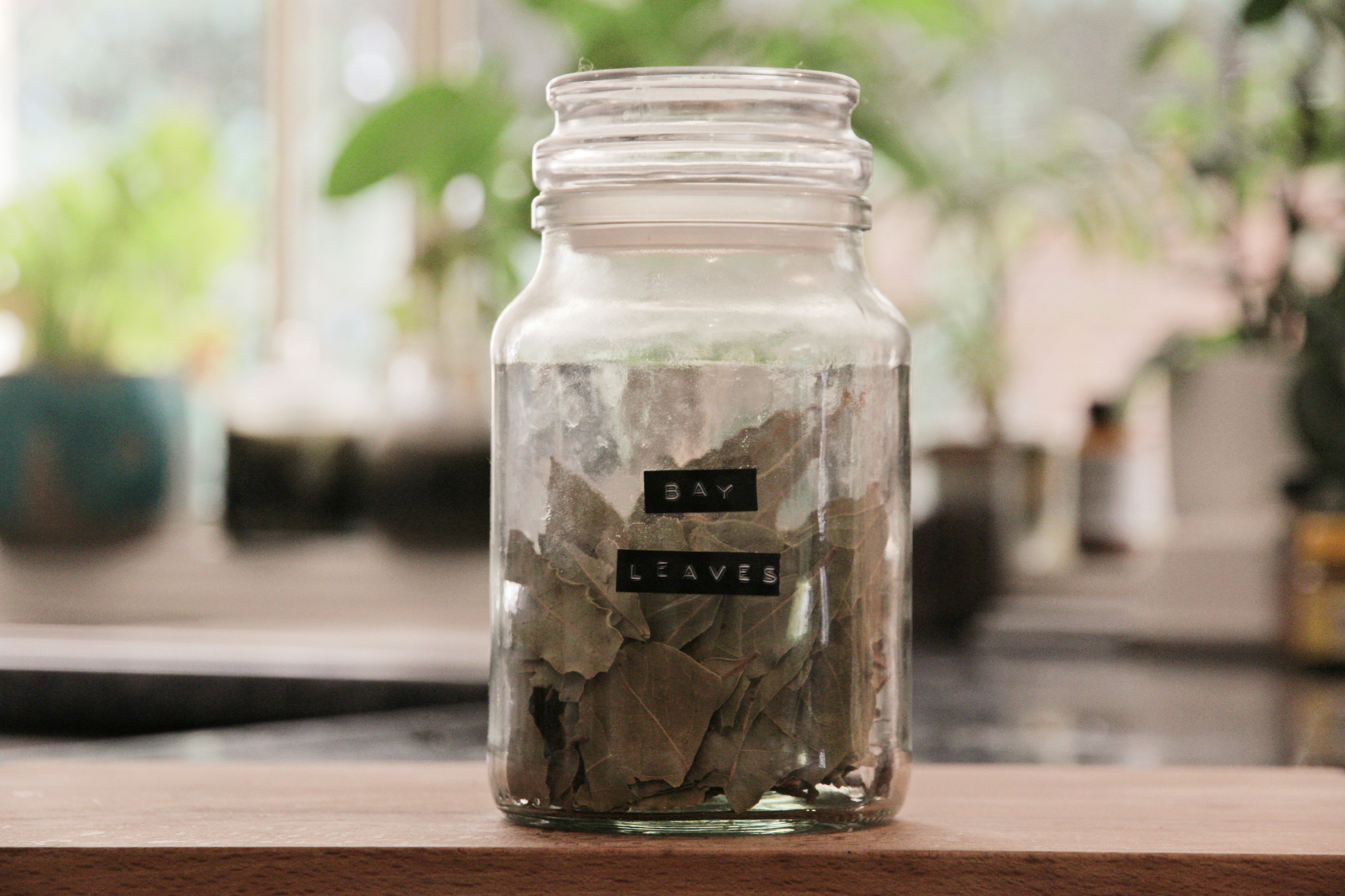 Travel Savings Jar