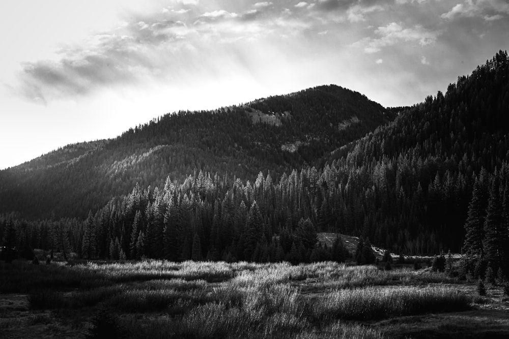 a black and white photo of a mountain