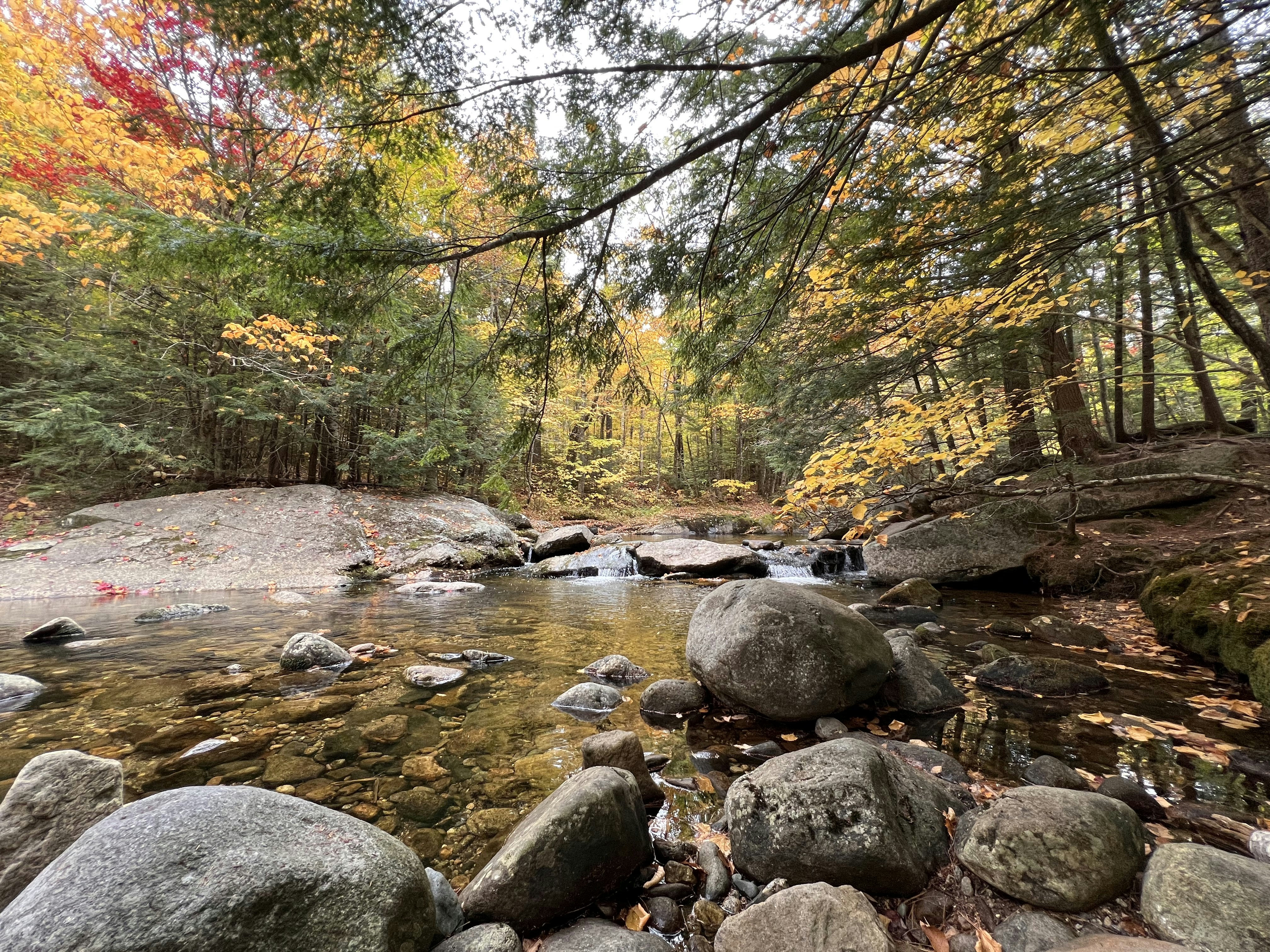 Photo by surajgattani