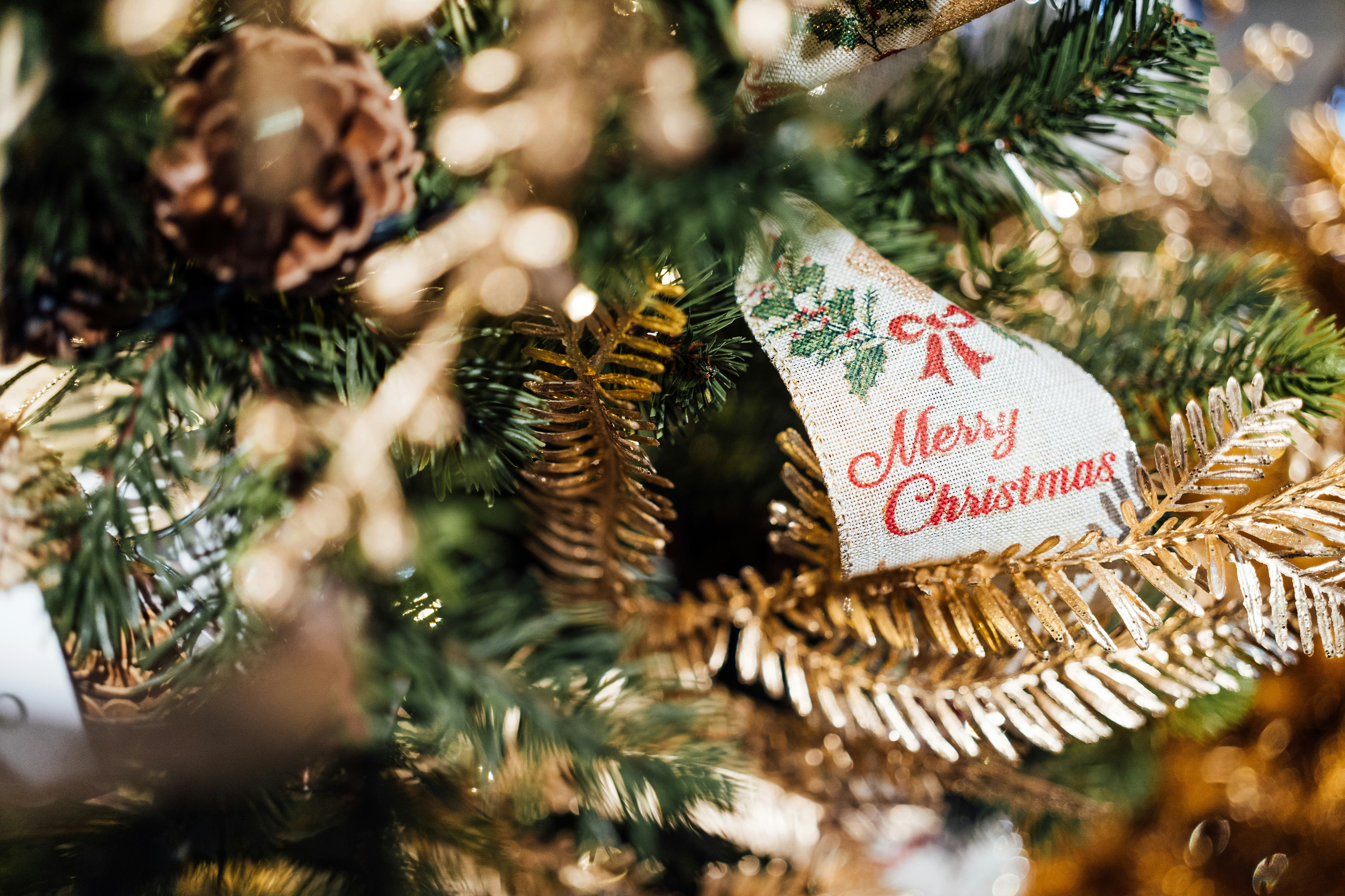 Photo by chuttersnap