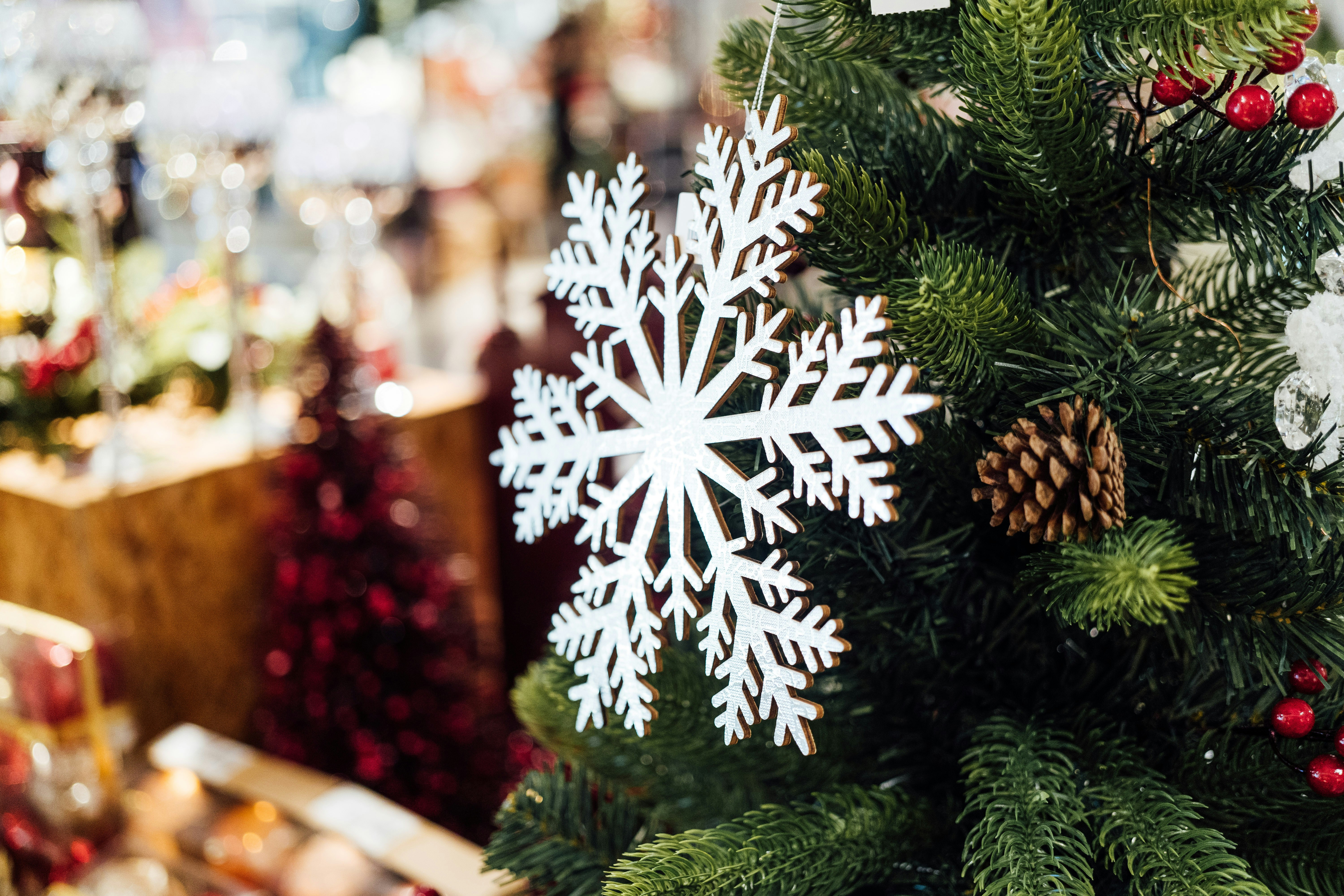 Photo by chuttersnap