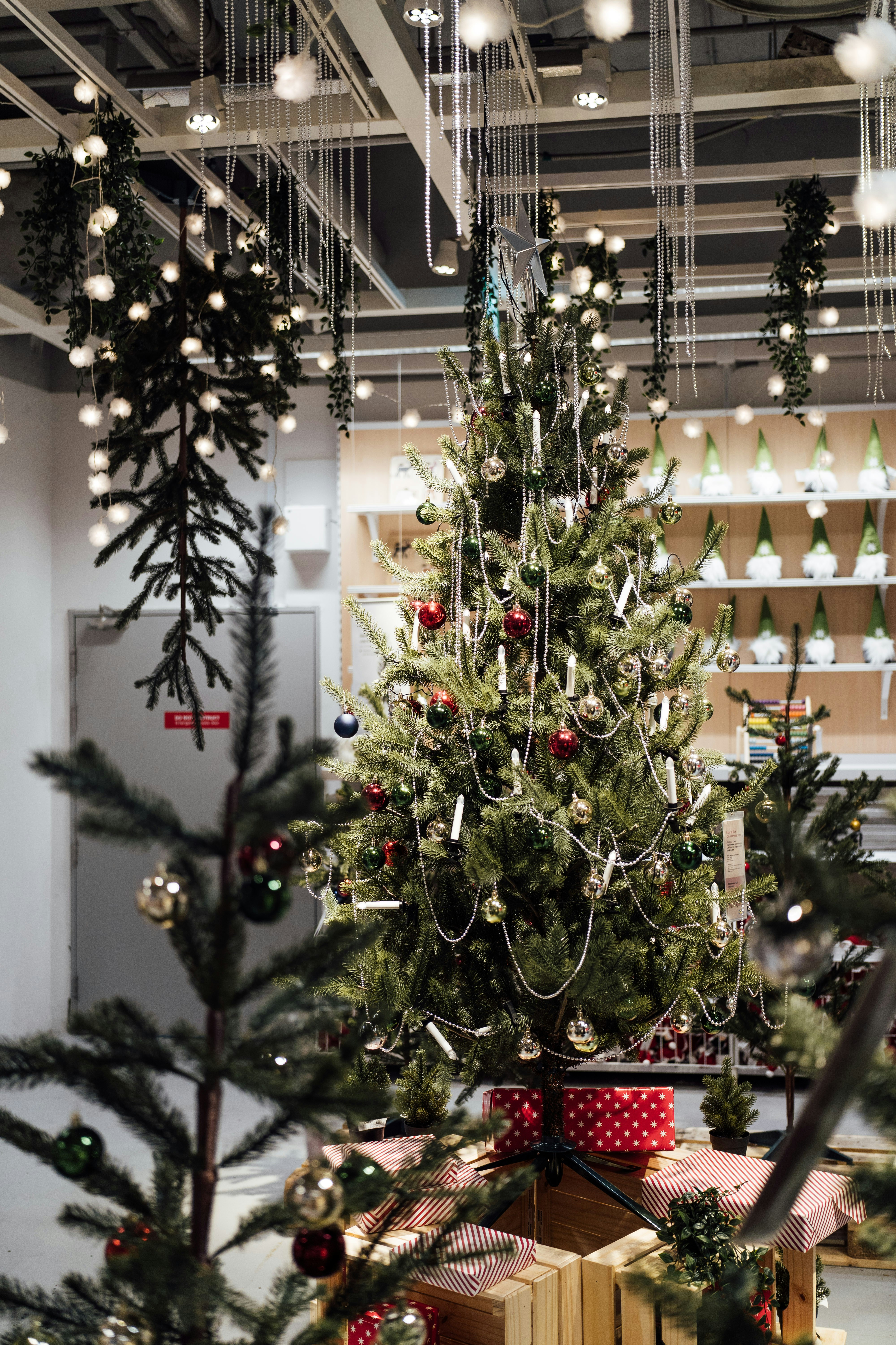 Photo by chuttersnap