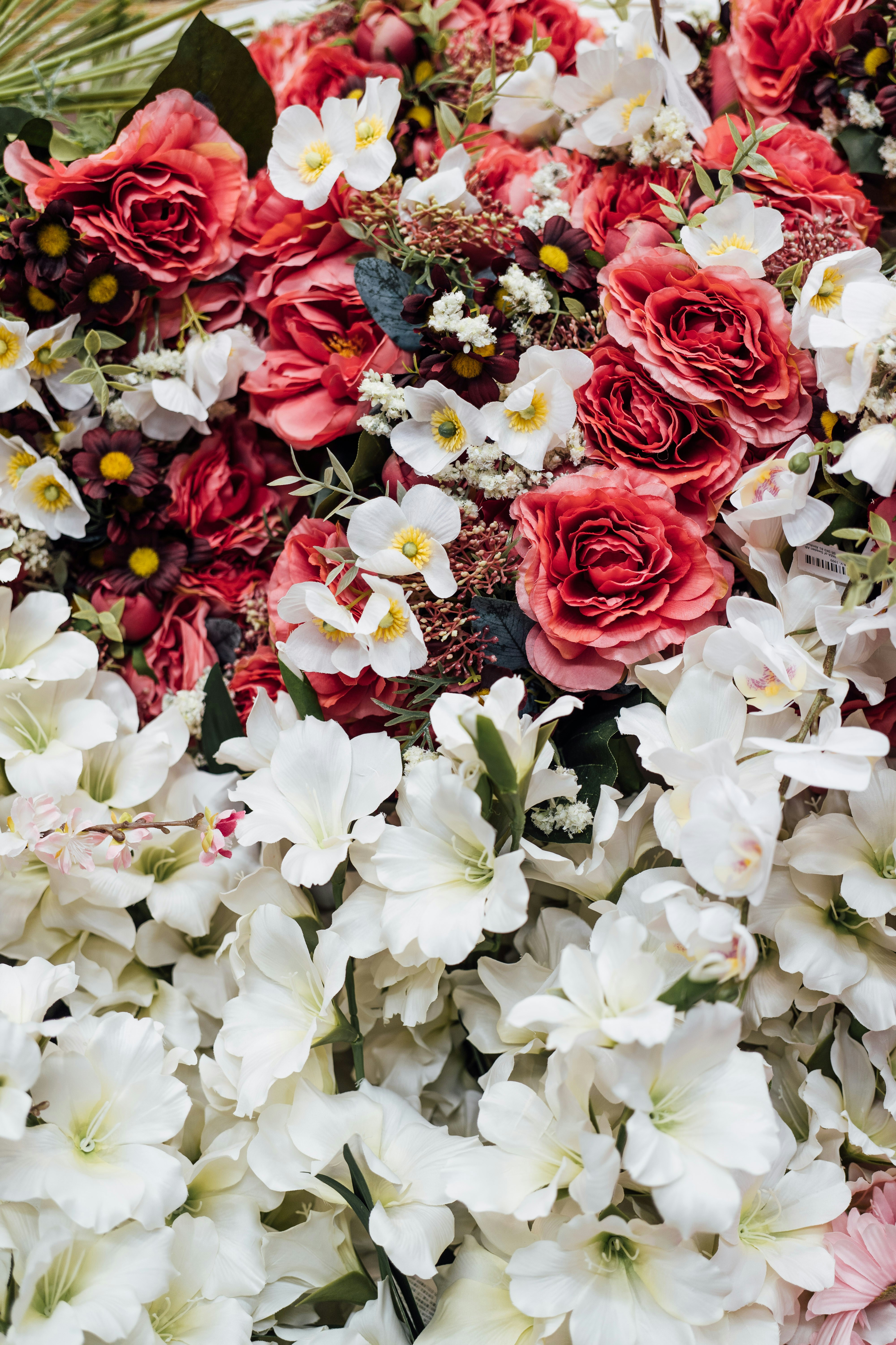 Photo by chuttersnap