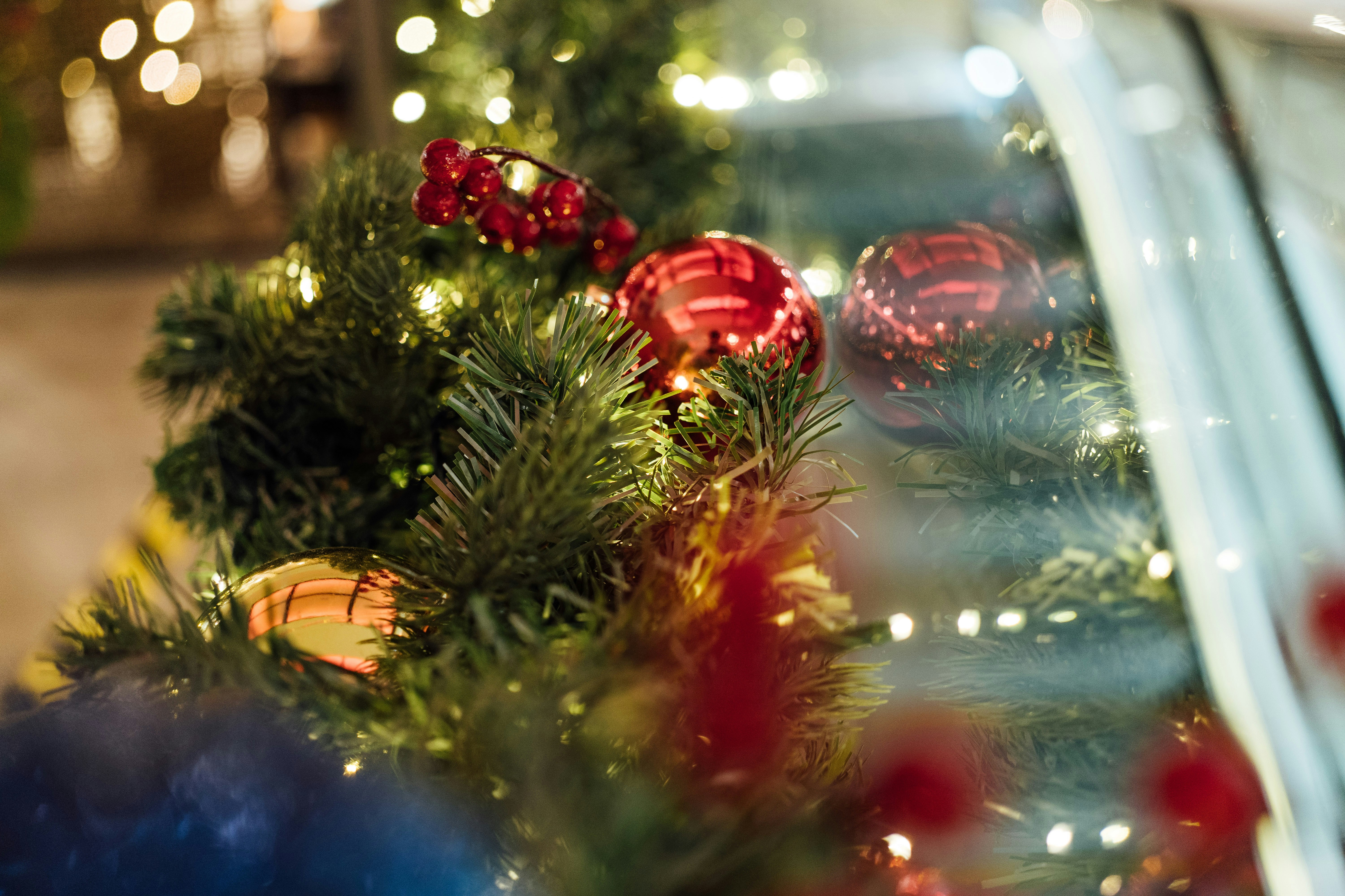 Photo by chuttersnap