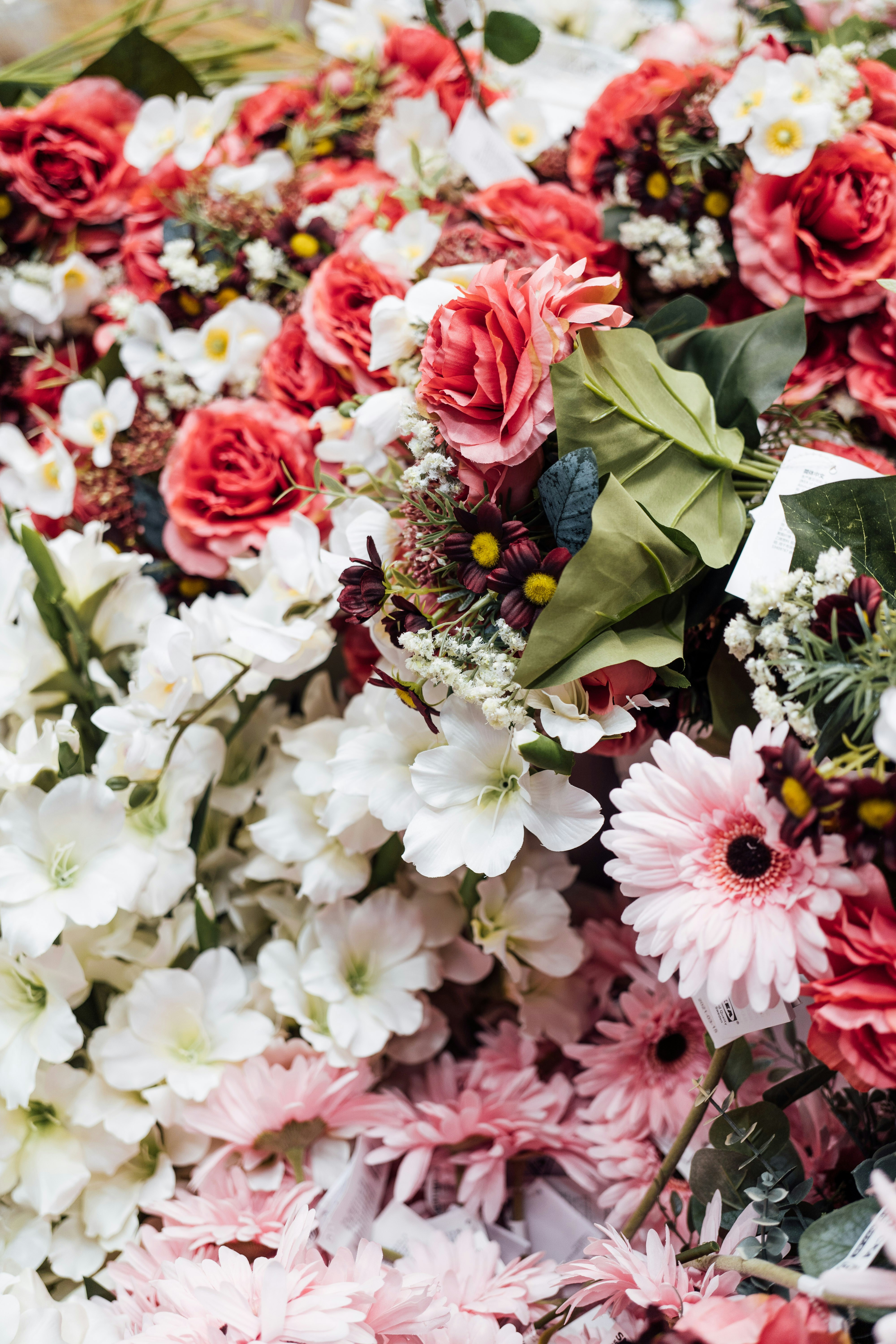 Photo by chuttersnap