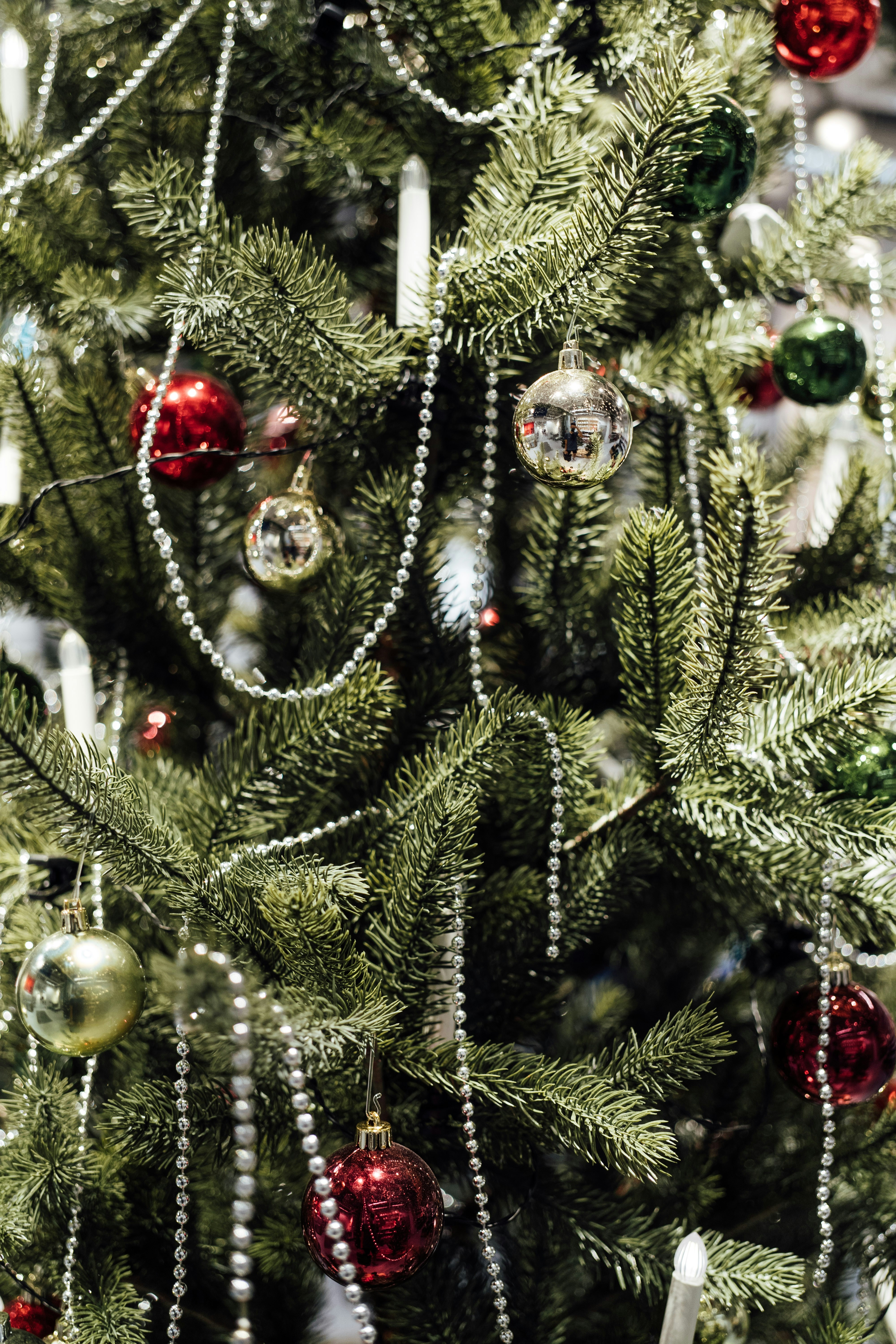 Photo by chuttersnap