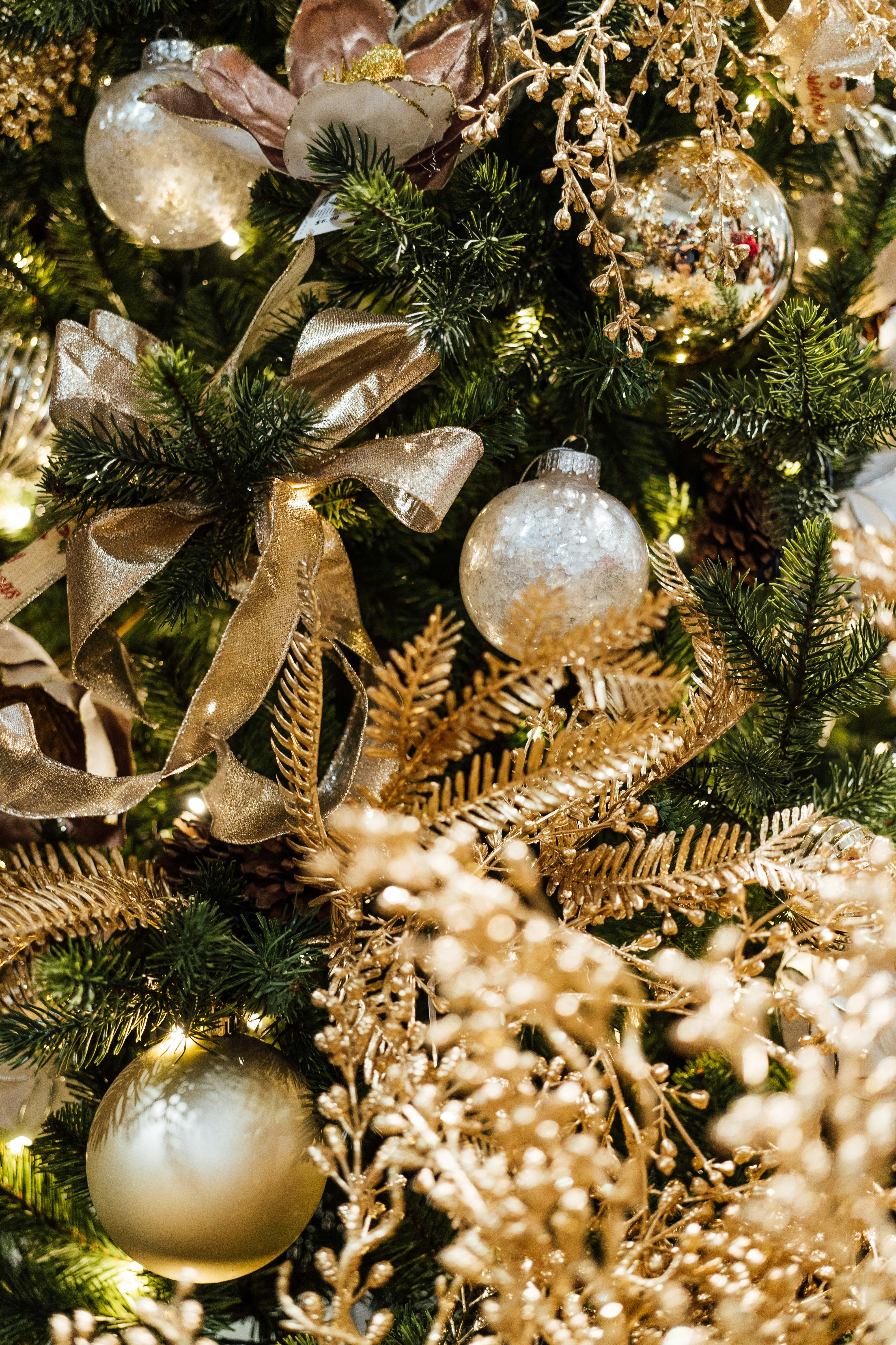 Photo by chuttersnap