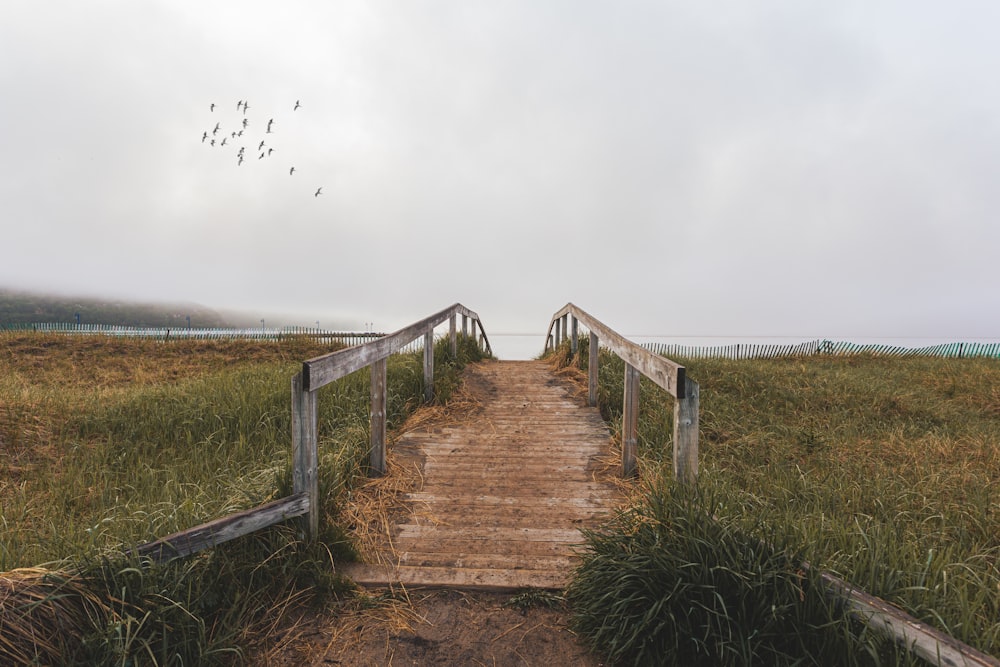 a wooden bridge over a grassy field with birds flying overhead