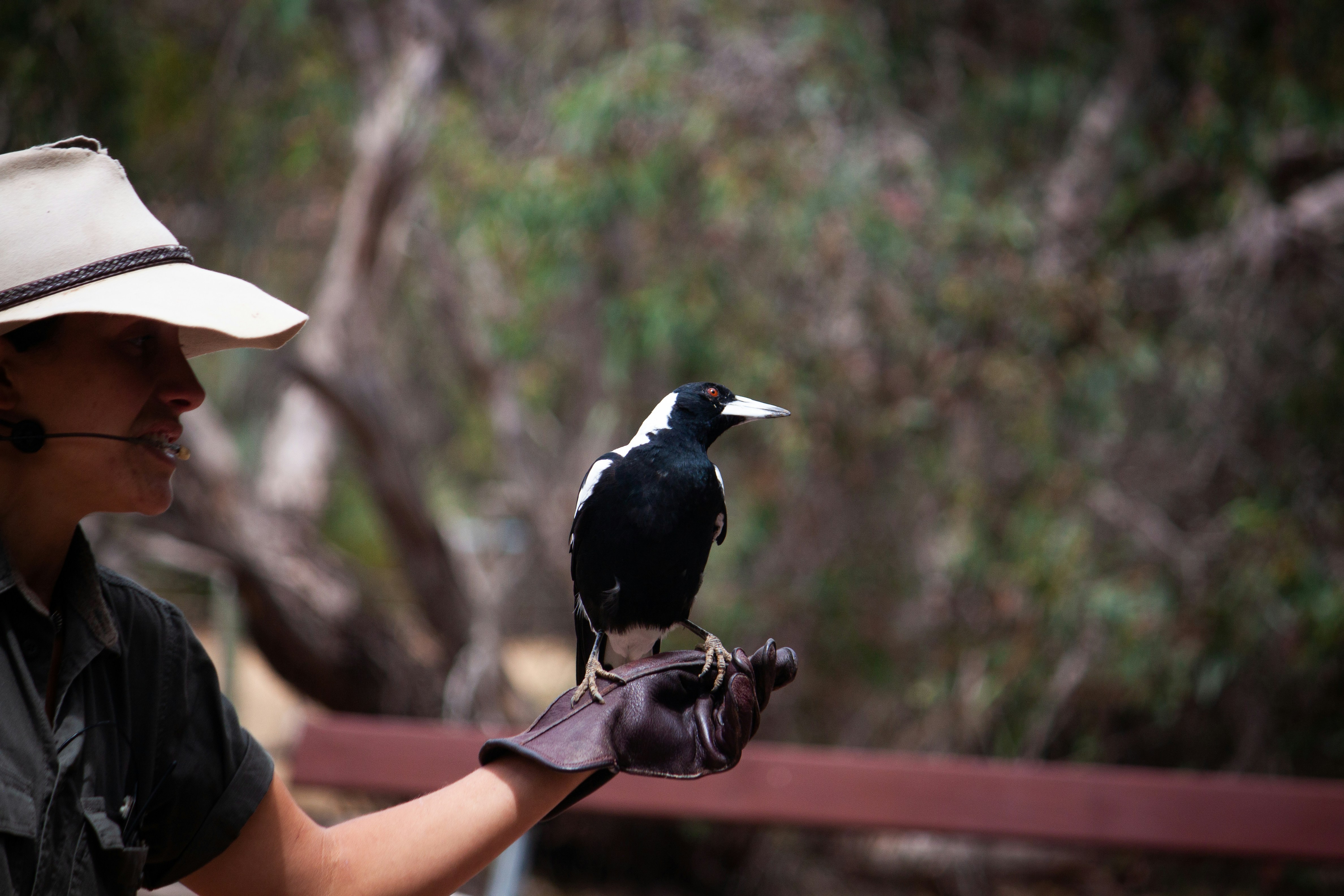 a person wearing a hat and gloves holding a bird