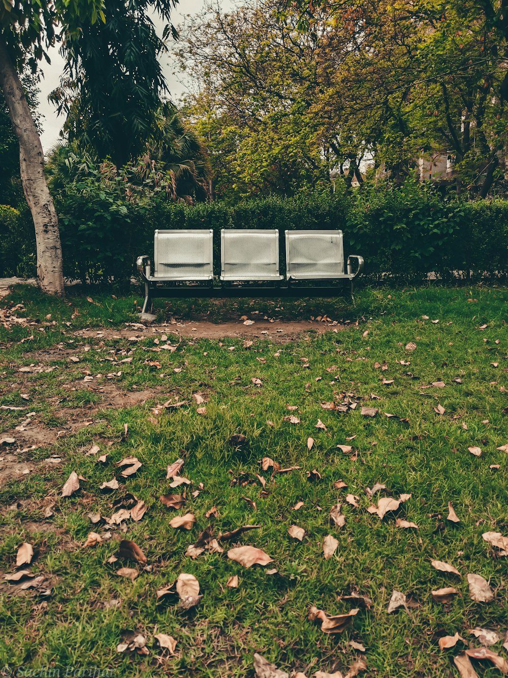 a park bench sitting in the middle of a park