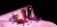 A collection of items is elegantly arranged on a soft pink surface. There is a bottle of lubricant labeled 'WET' alongside two vibrators, with blueberries scattered around them. A red rose lies across the scene, adding a romantic touch.