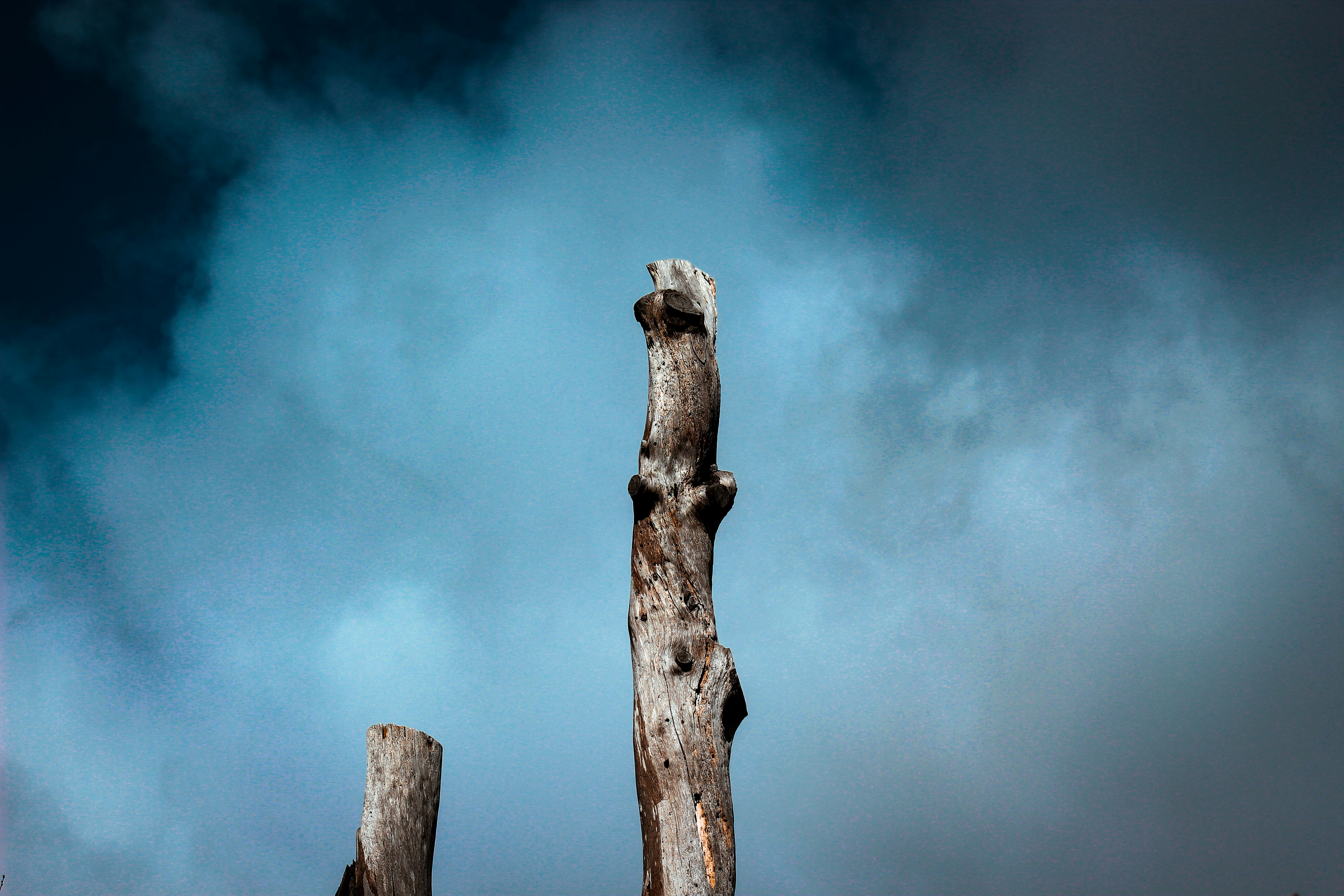 Photo by codywestphoto