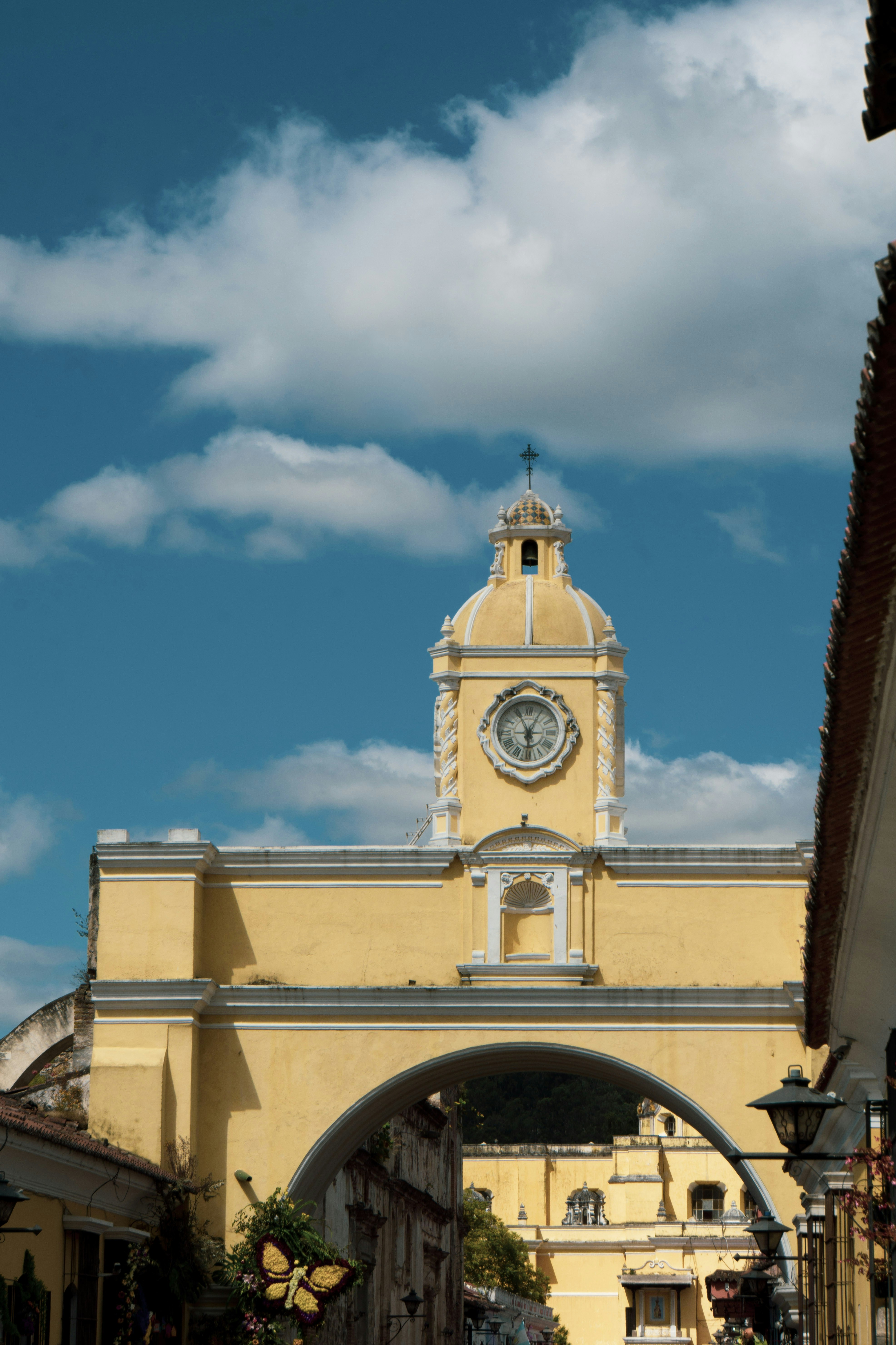 Photo by _chinchilla_