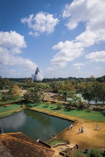 a group of people standing on top of a lush green field