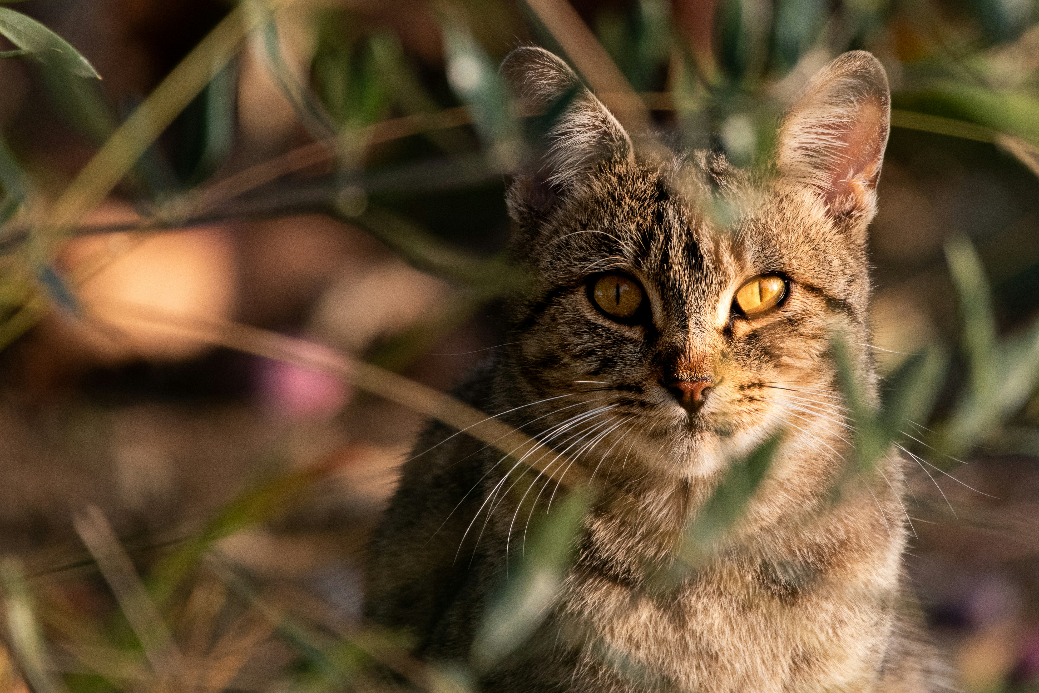 Photo by elisastonephotography