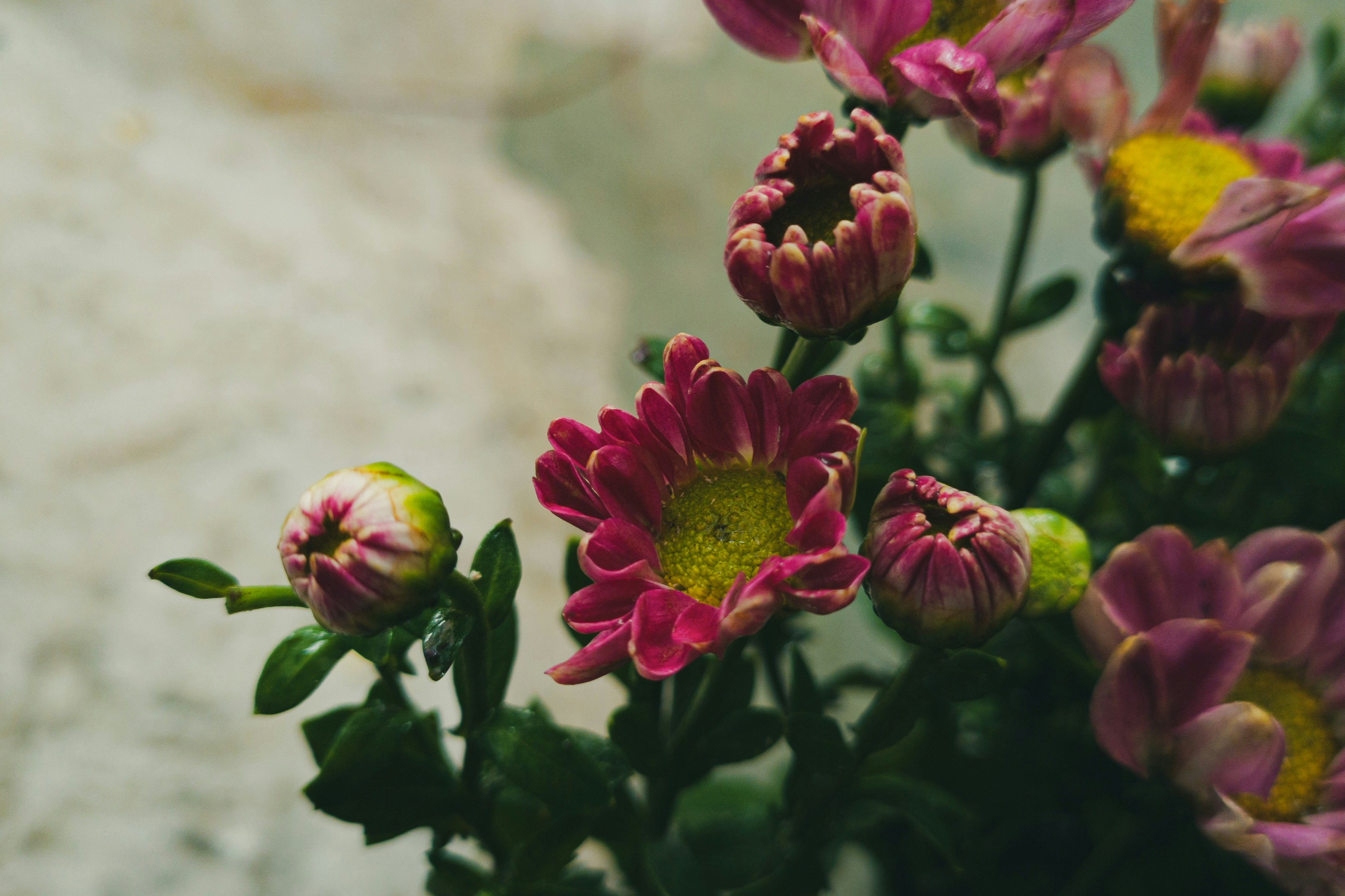 Photo by yeon01050508