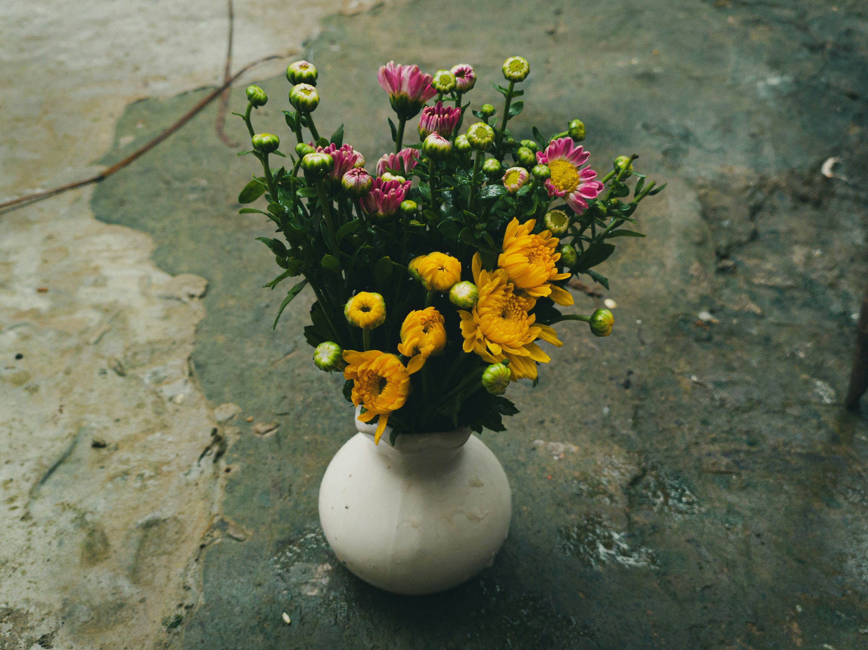 Photo by yeon01050508