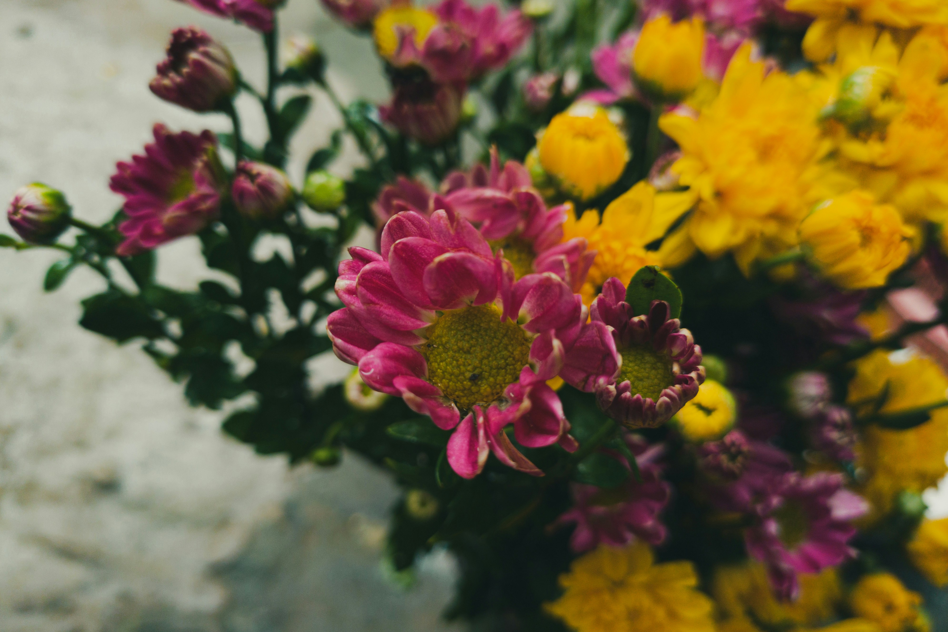 Photo by yeon01050508