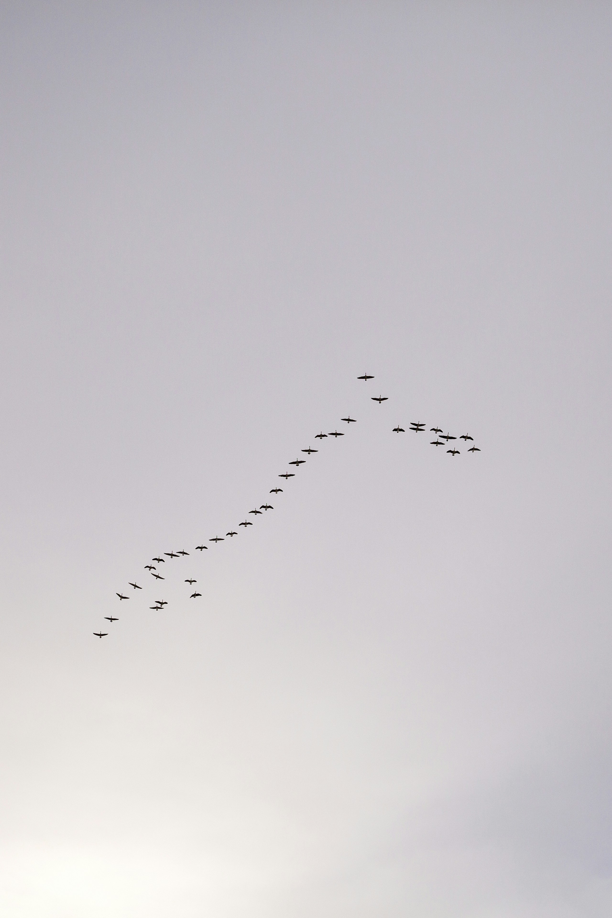 Docker Consolidation Project, Part Five