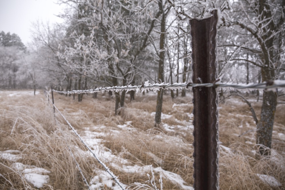 Ein Stacheldrahtzaun in einem verschneiten Feld