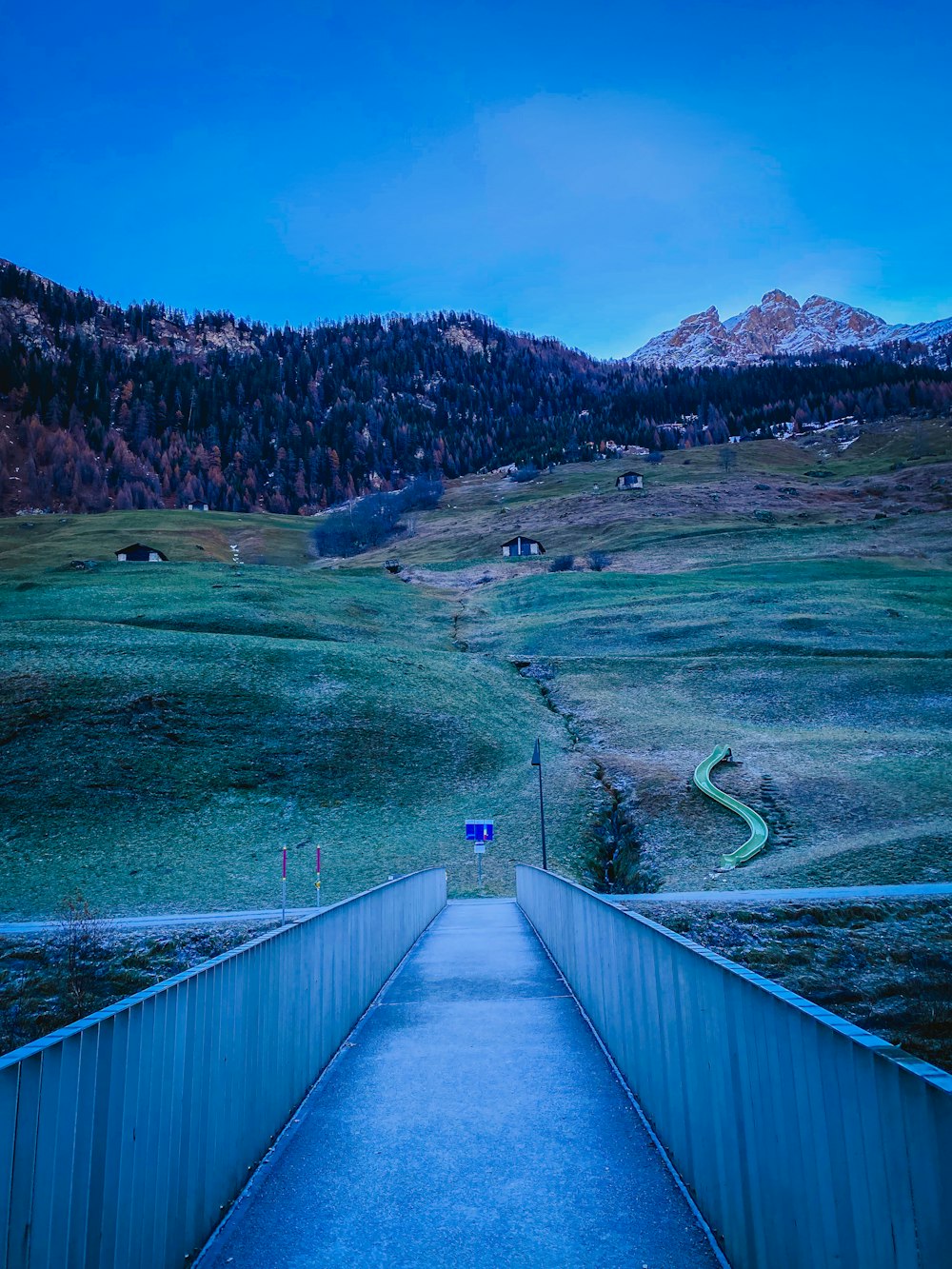 une passerelle menant à un champ herbeux avec des montagnes en arrière-plan