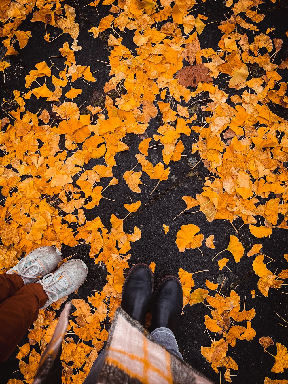 uma pessoa em pé em um caminho com folhas amarelas no chão